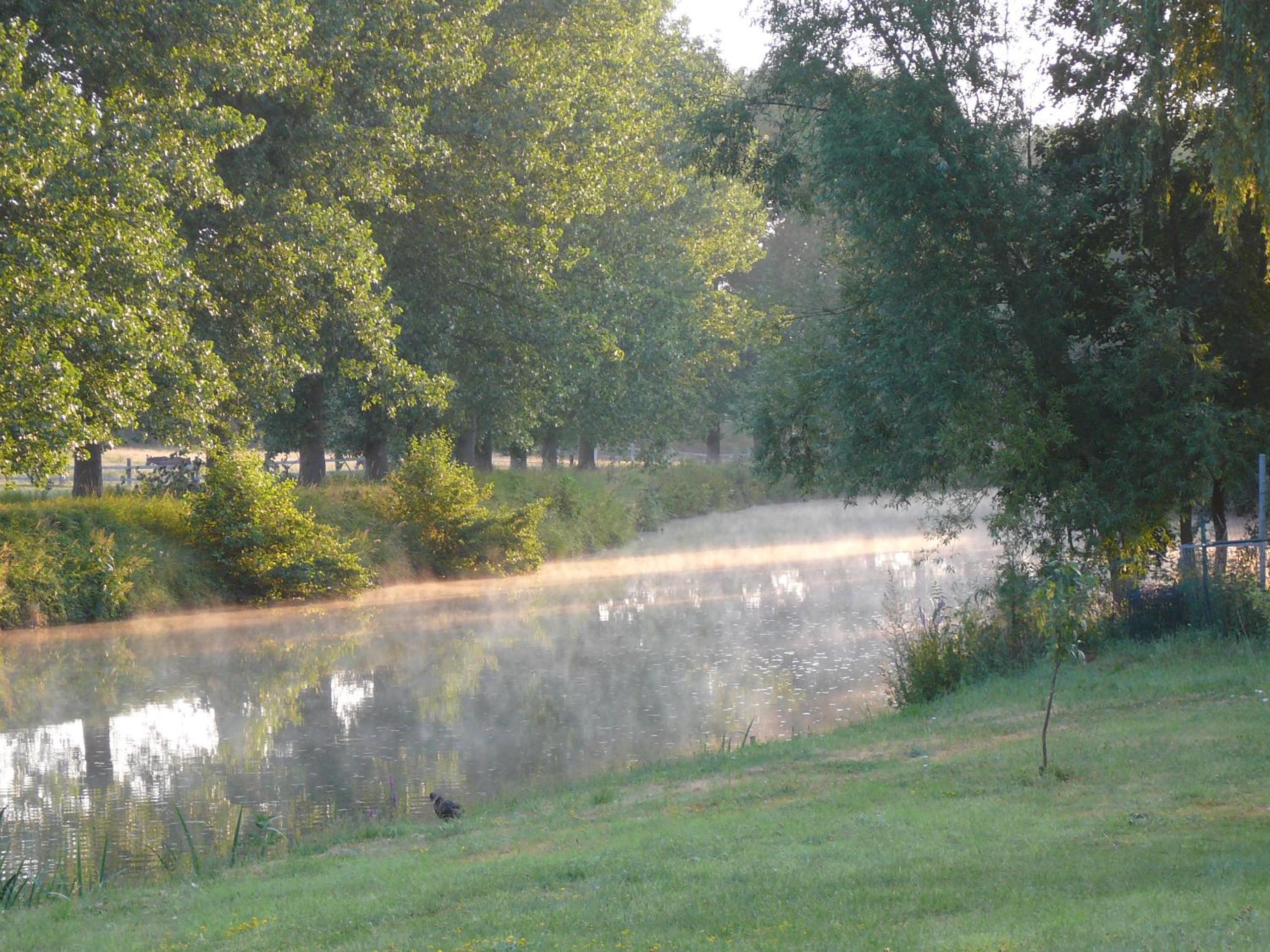 Au Crapaud Charmant