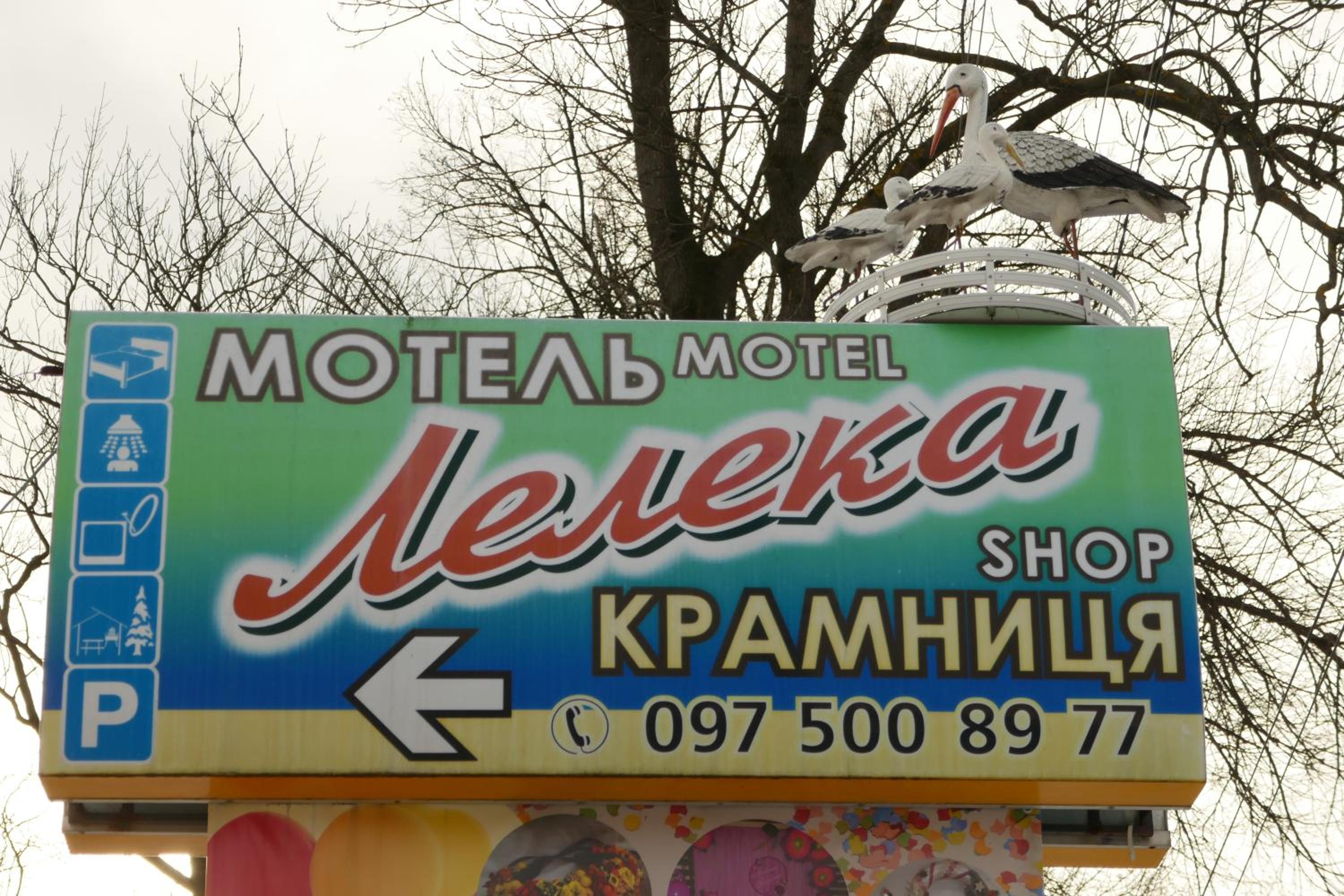 Лелека view 3