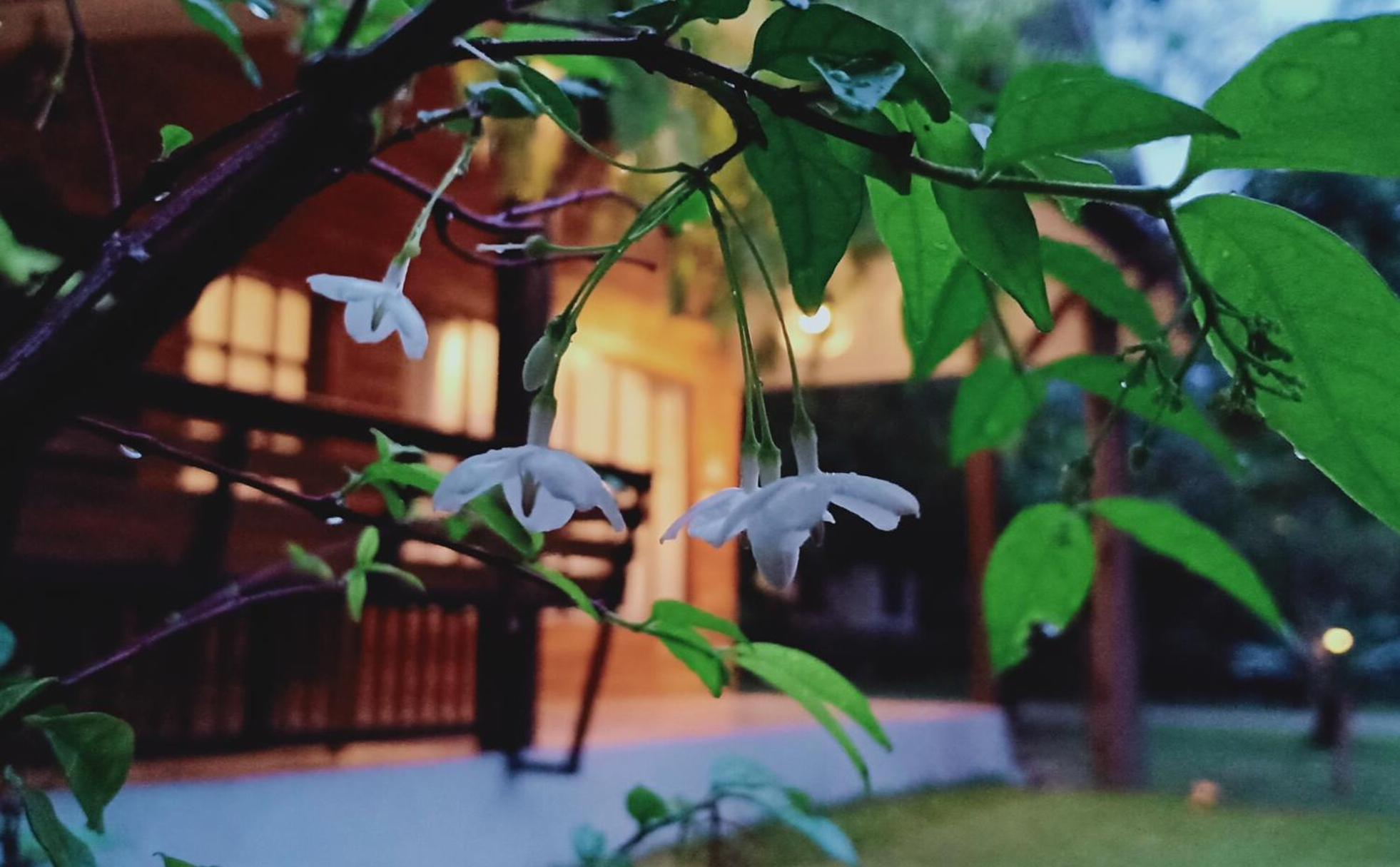 Rai Lung Tui Homestay