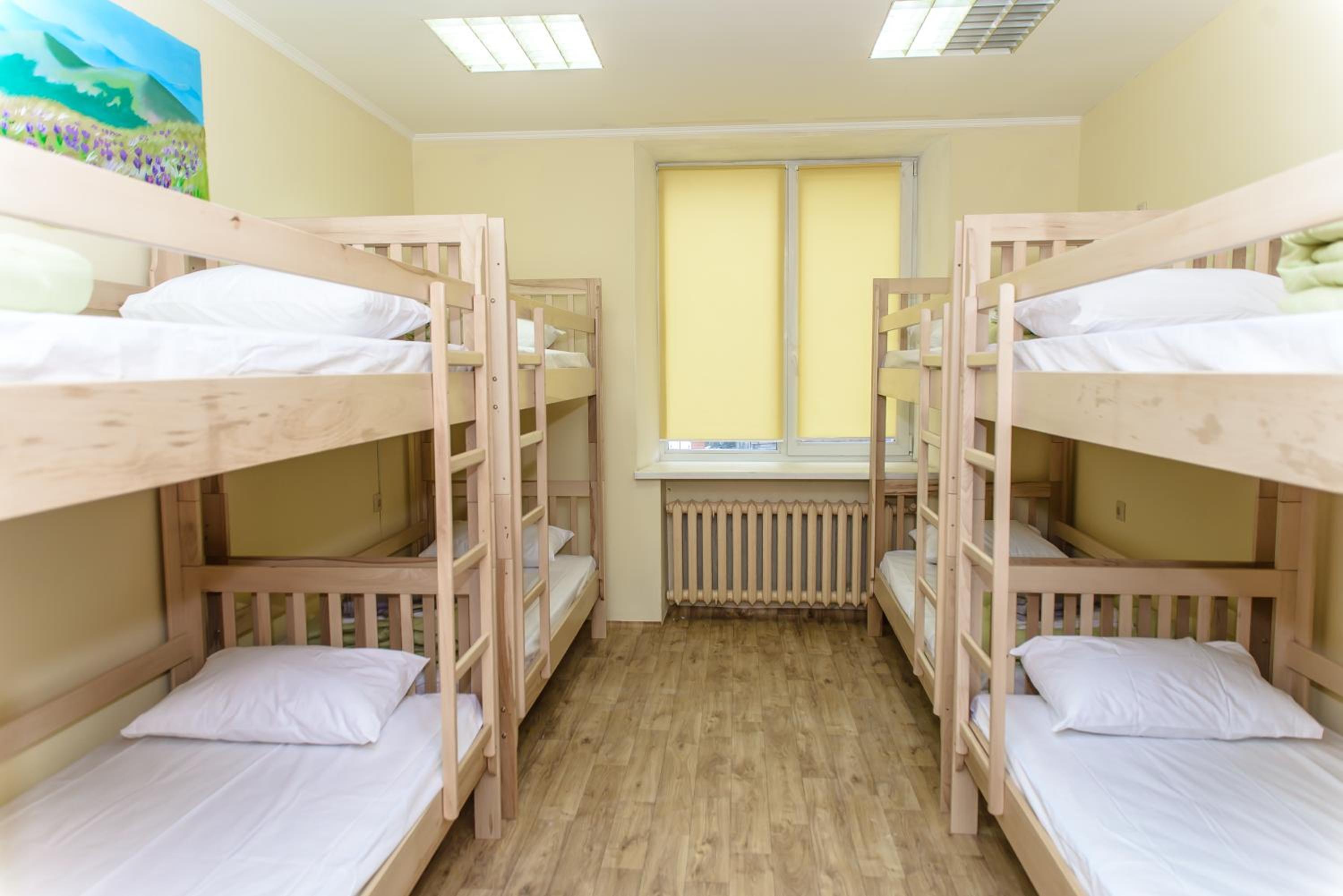 BOTANIC GLOBUS HOSTEL view 5