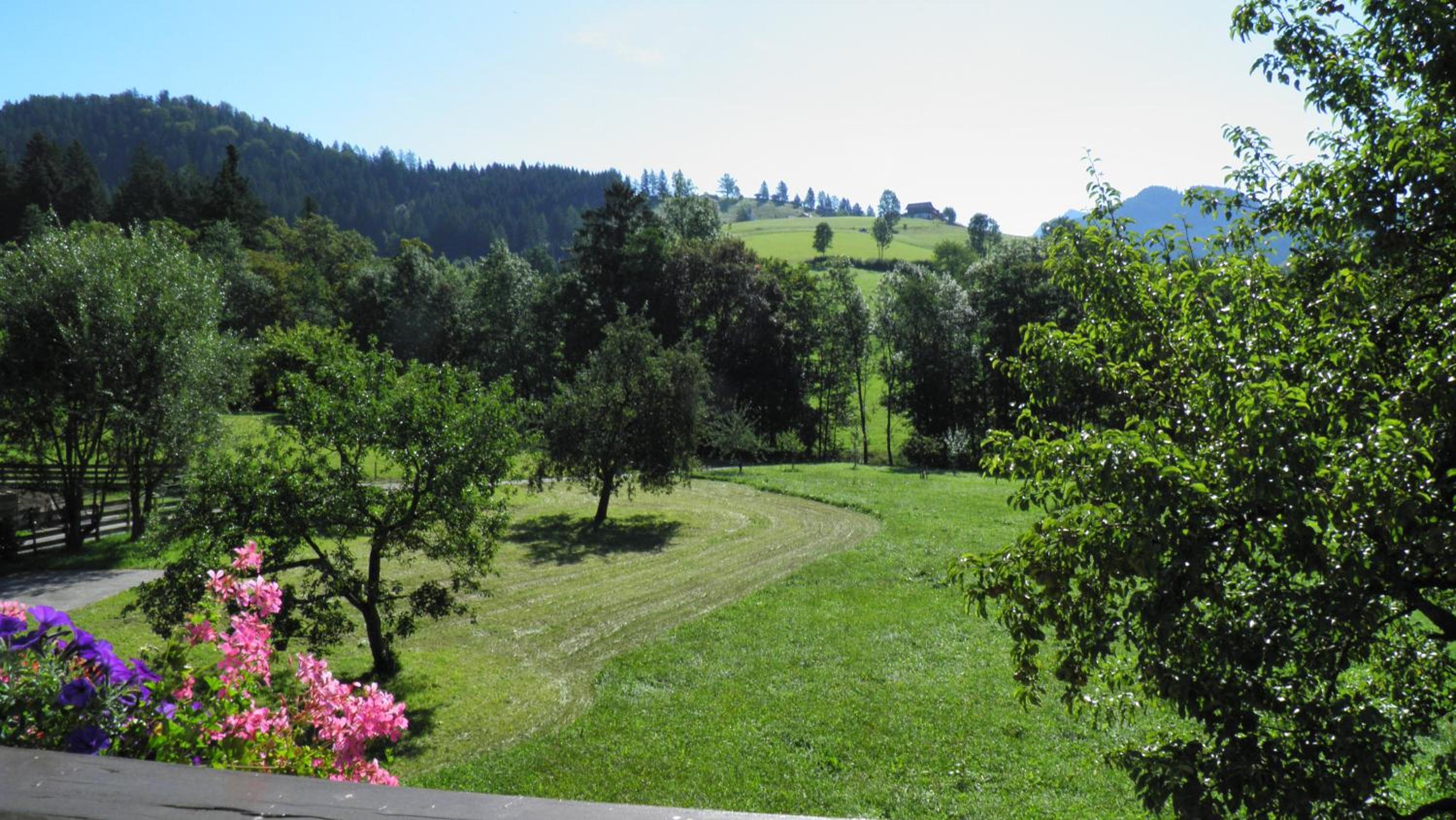 Vorderwimmhof