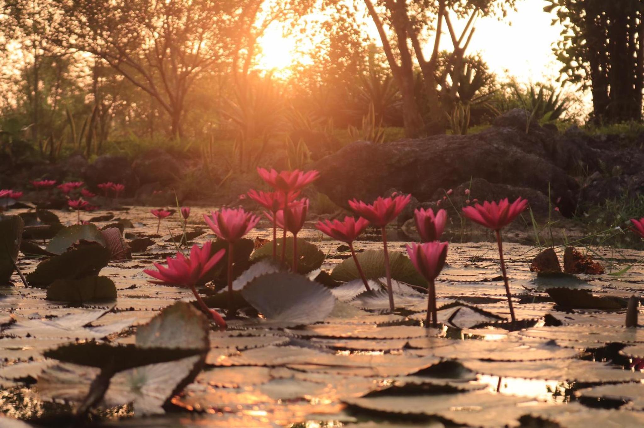 Cuc Phuong Mineral Resort Ninh Binh