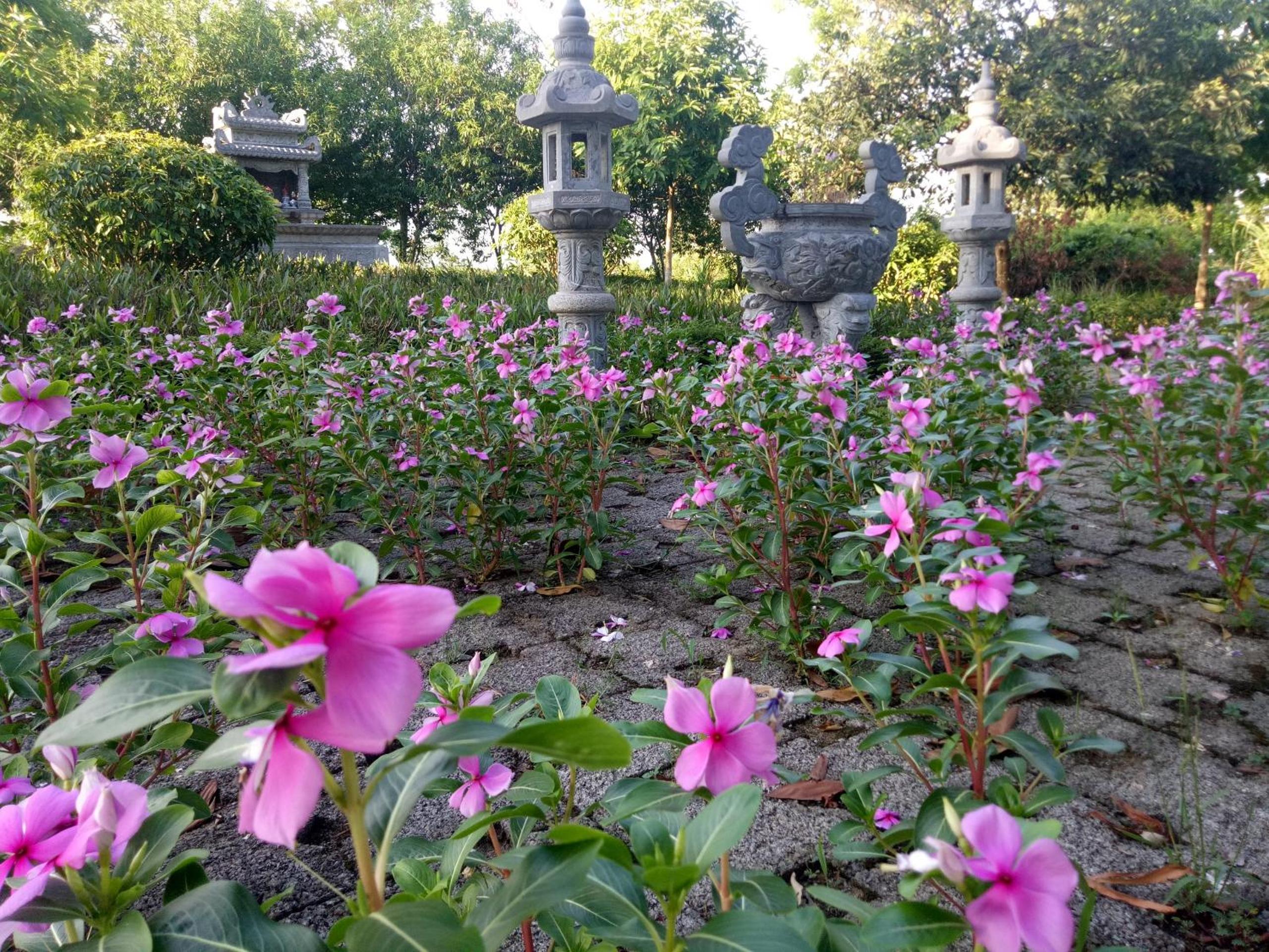 Cuc Phuong Mineral Resort Ninh Binh