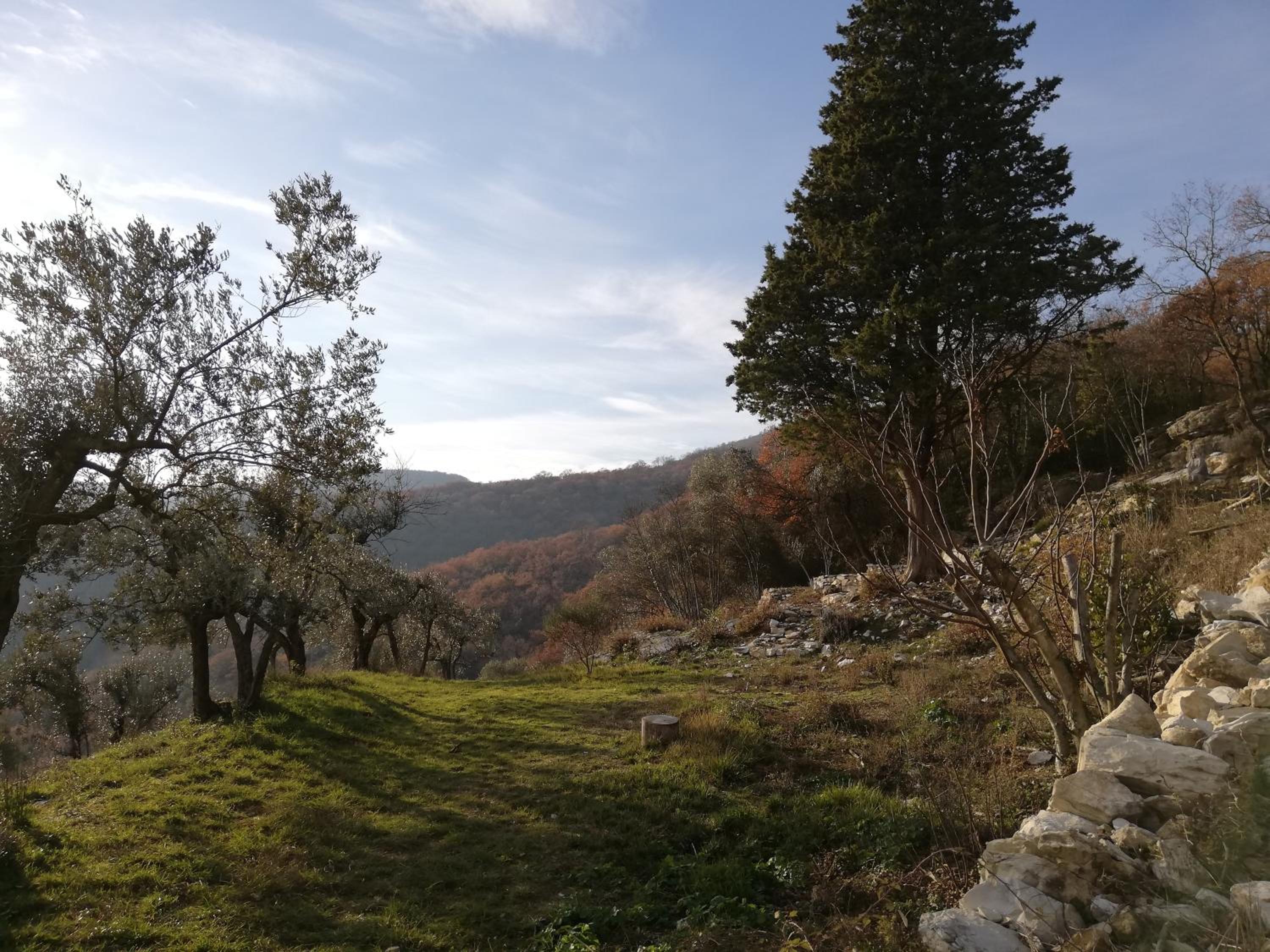 Agriturismo CasaMatta Azienda Agricola view 3