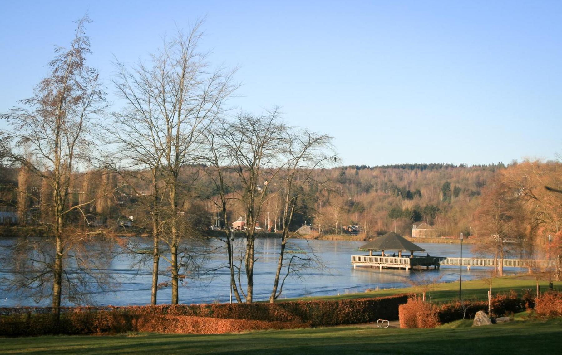 Una finestra sul lago