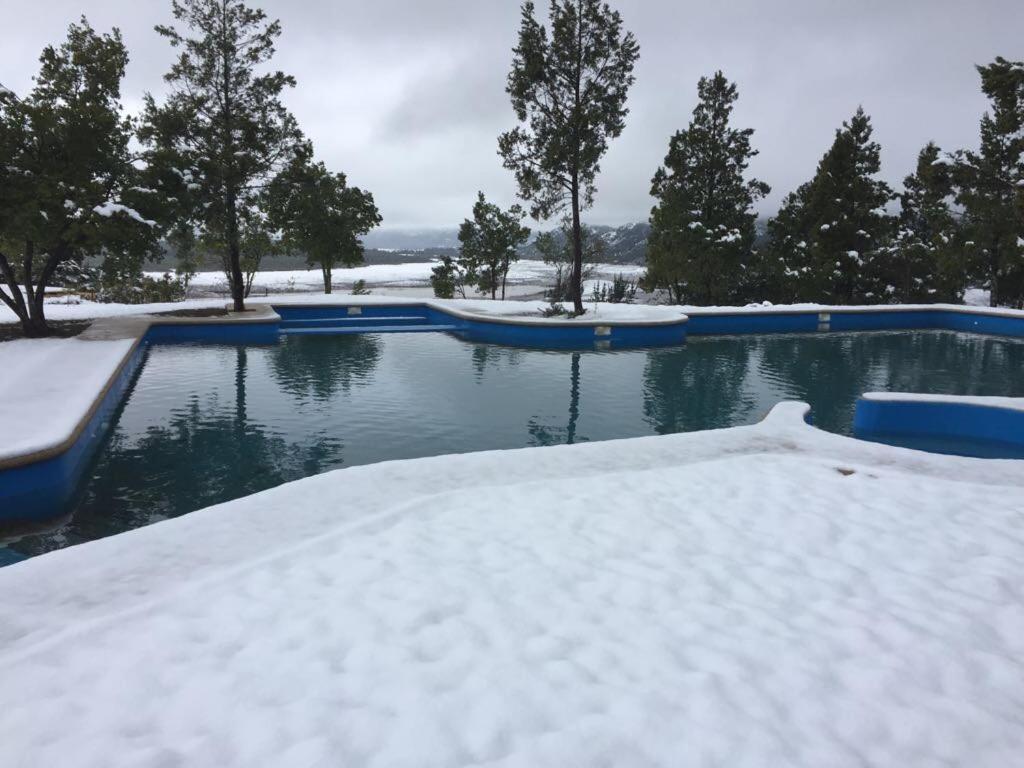 Altos Las Pataguas