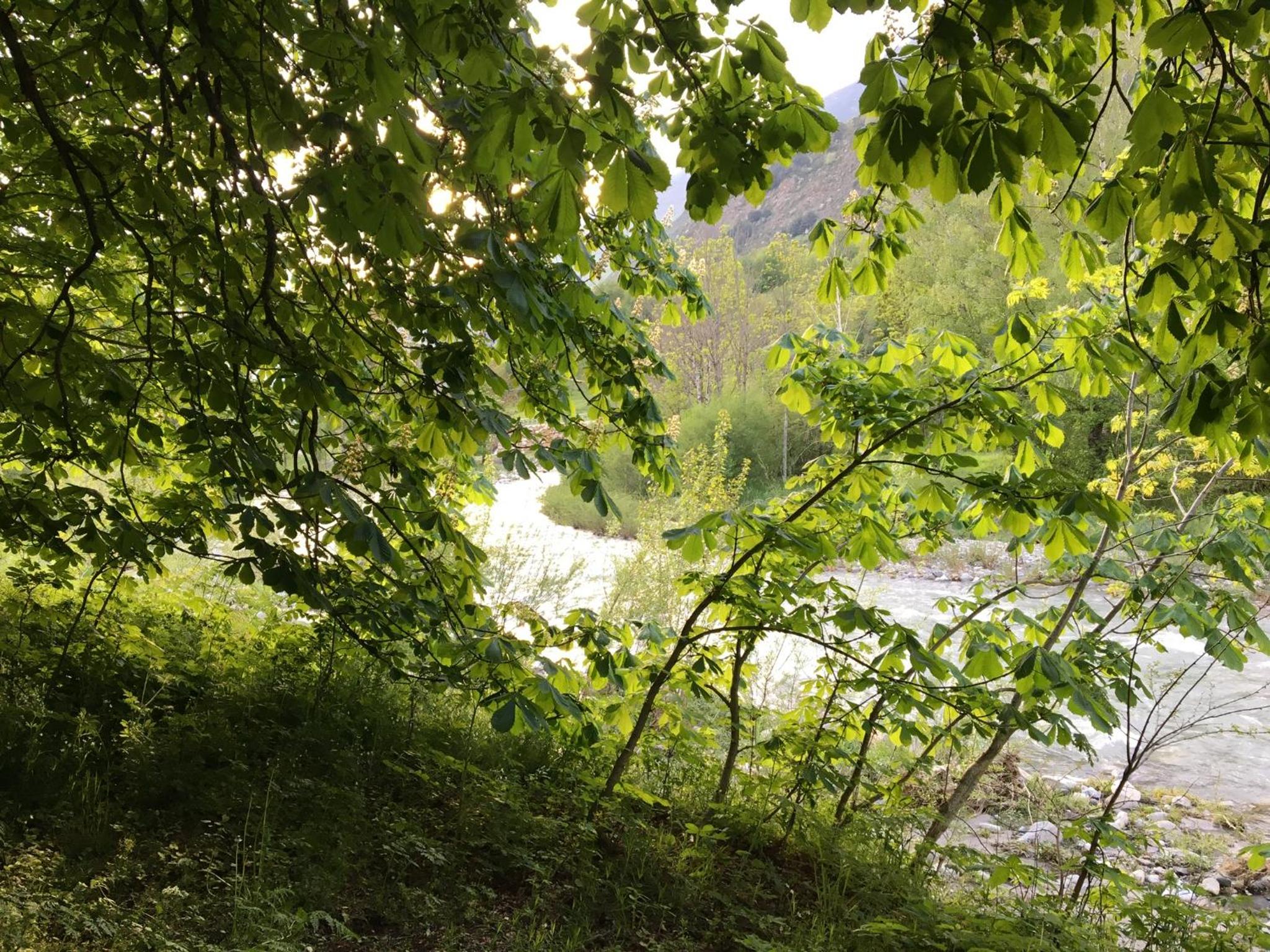 Photo 40