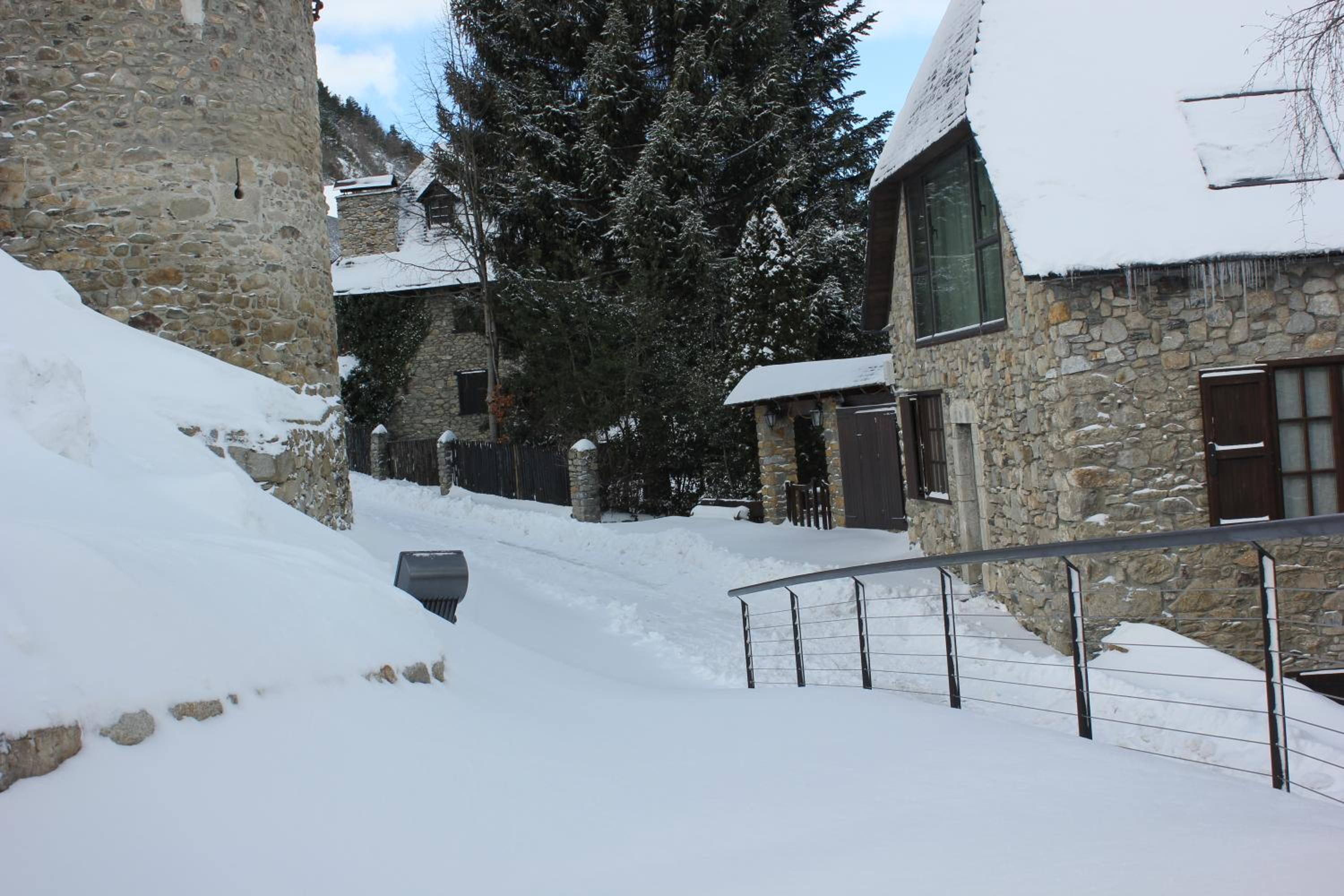 Photo 7