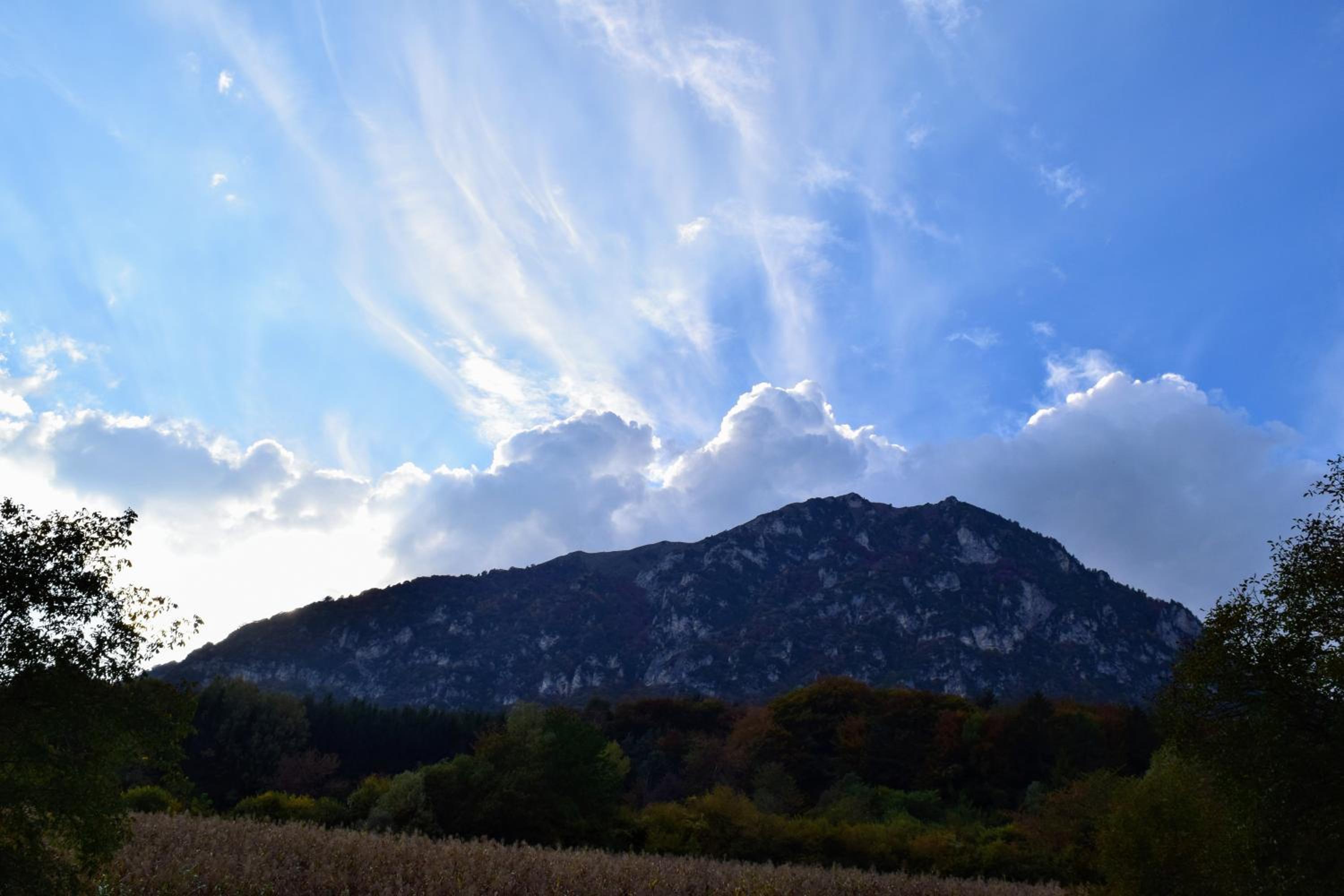 Dolomiti Apart