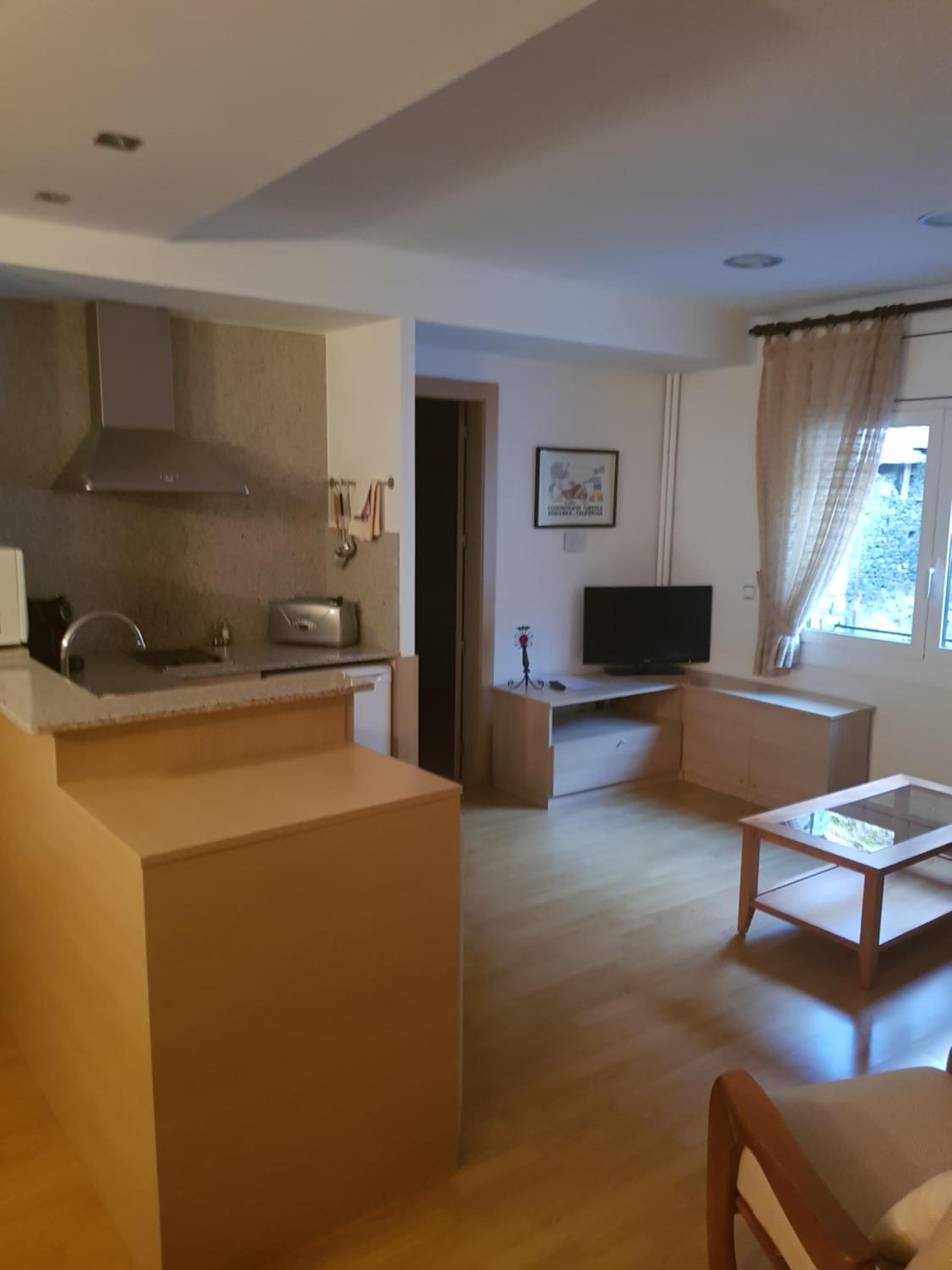 Apartaments Turistics Pirineu