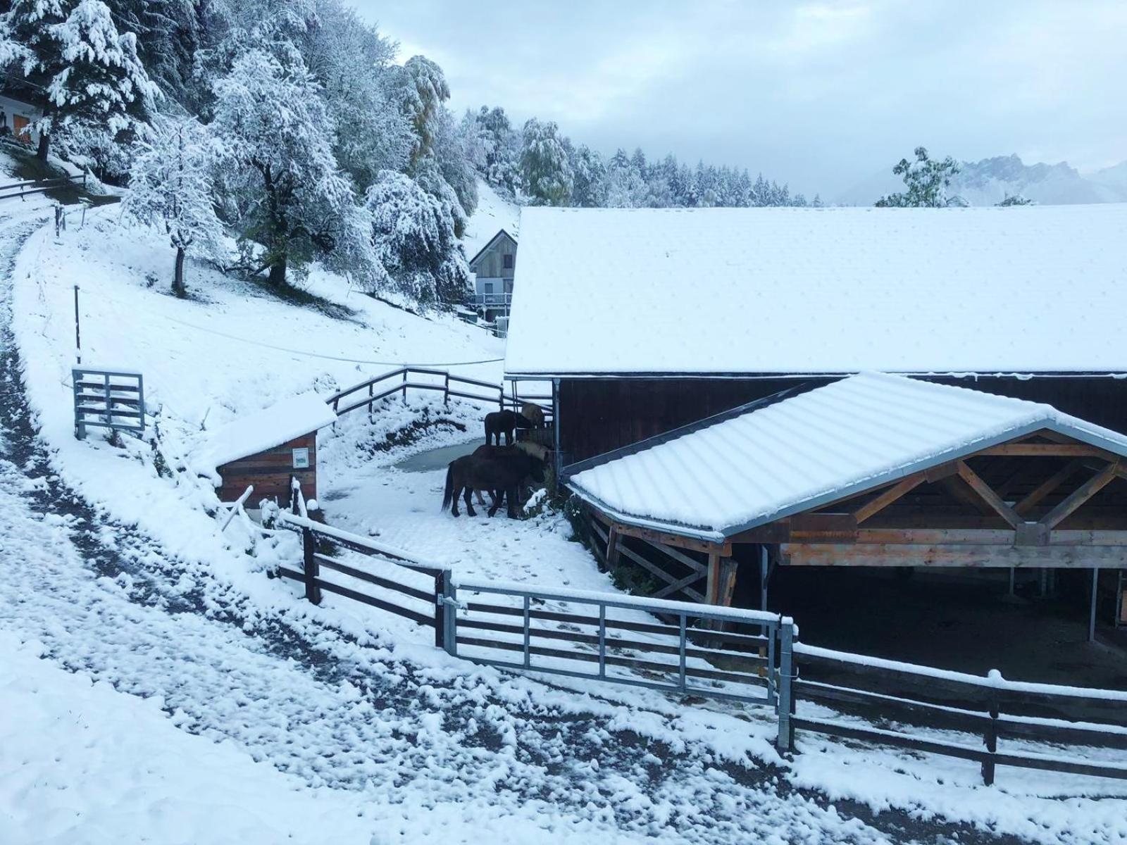 Hotel Garni Brigitte