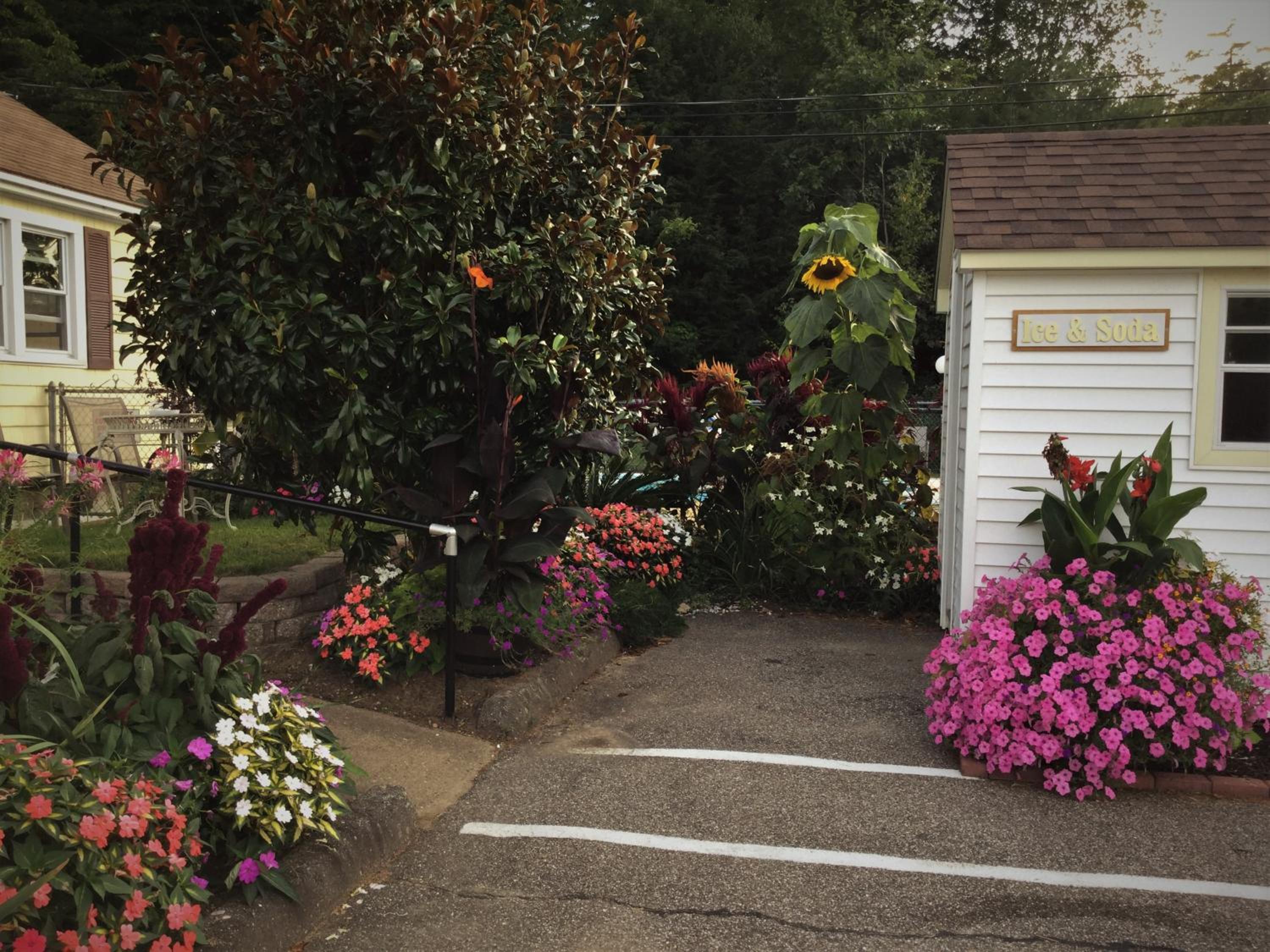 Bay Top Motel
