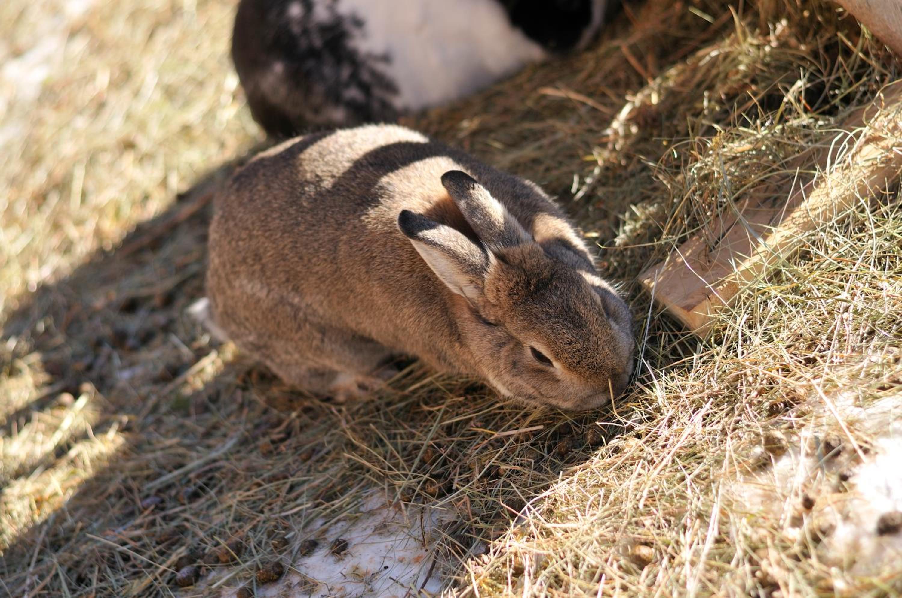 Photo 22