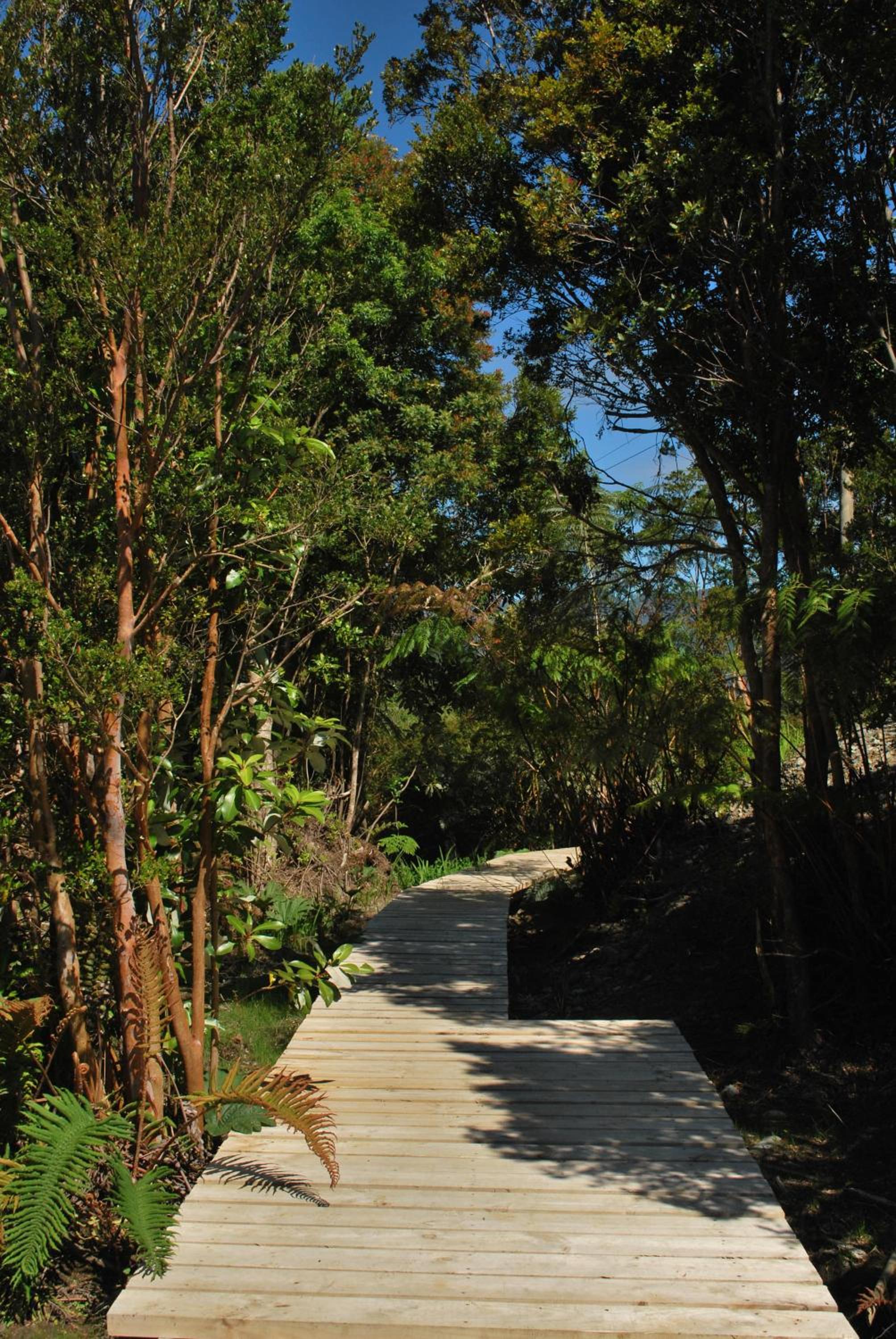 Chucao Bosque y Cabañas