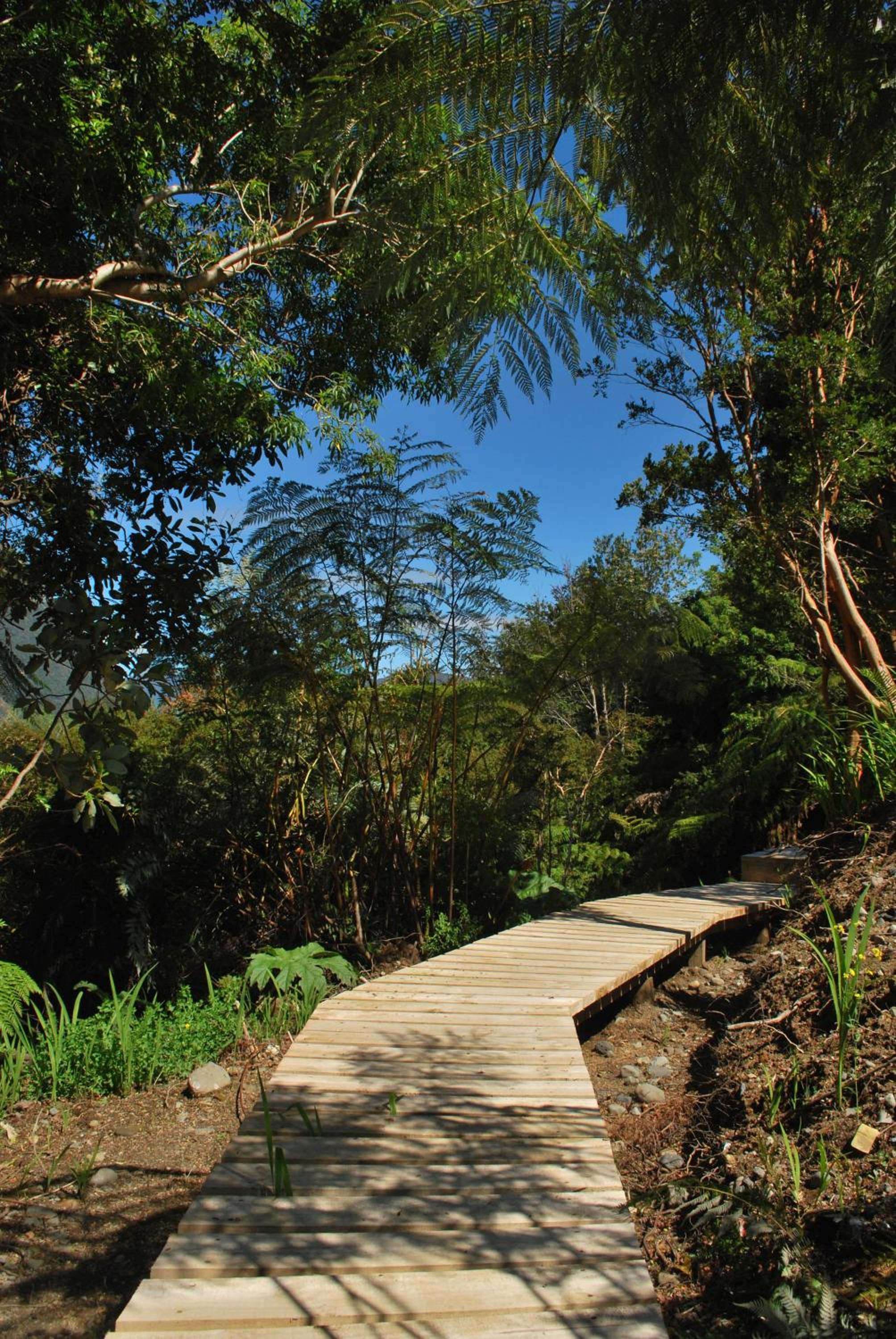 Chucao Bosque y Cabañas