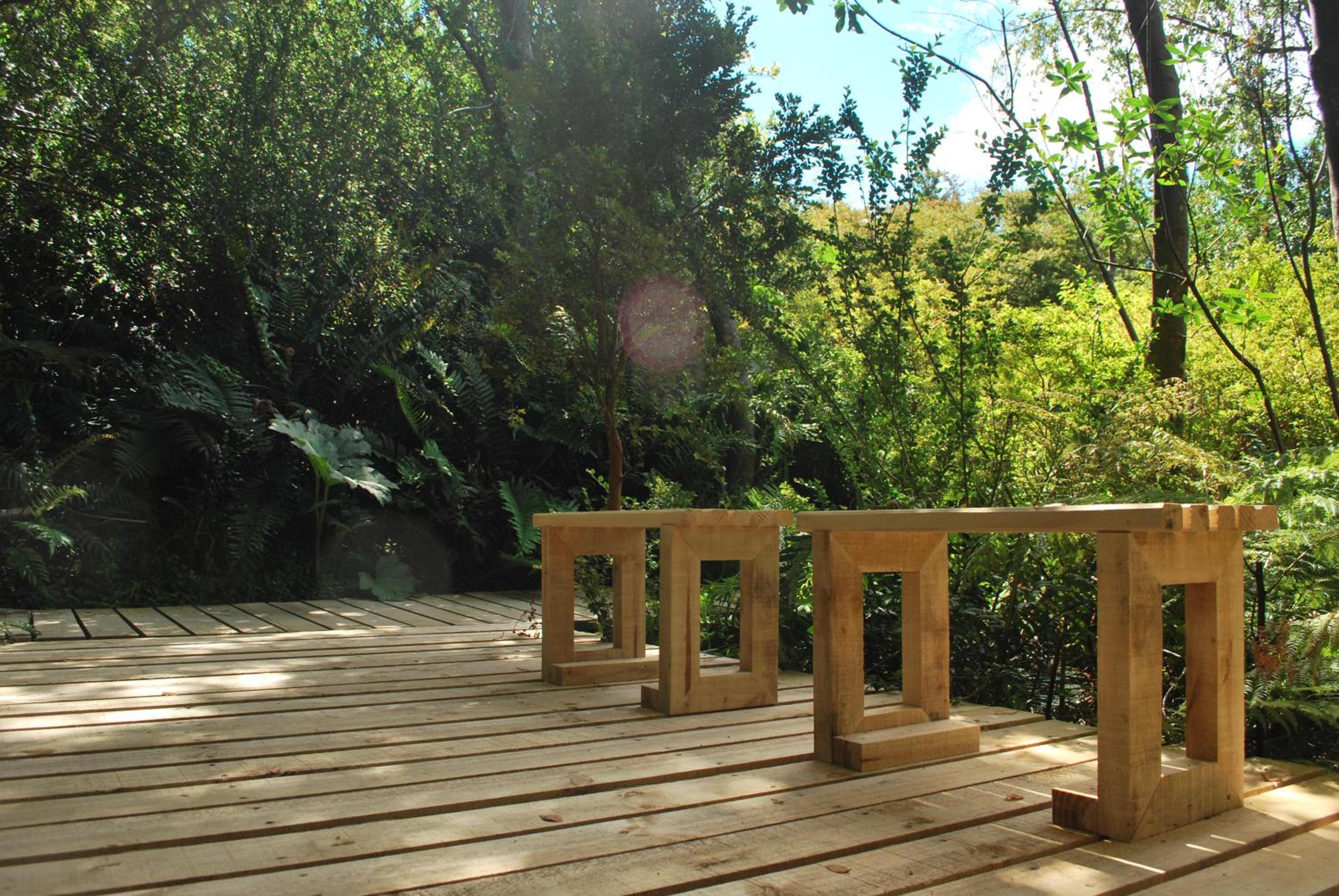 Chucao Bosque y Cabañas