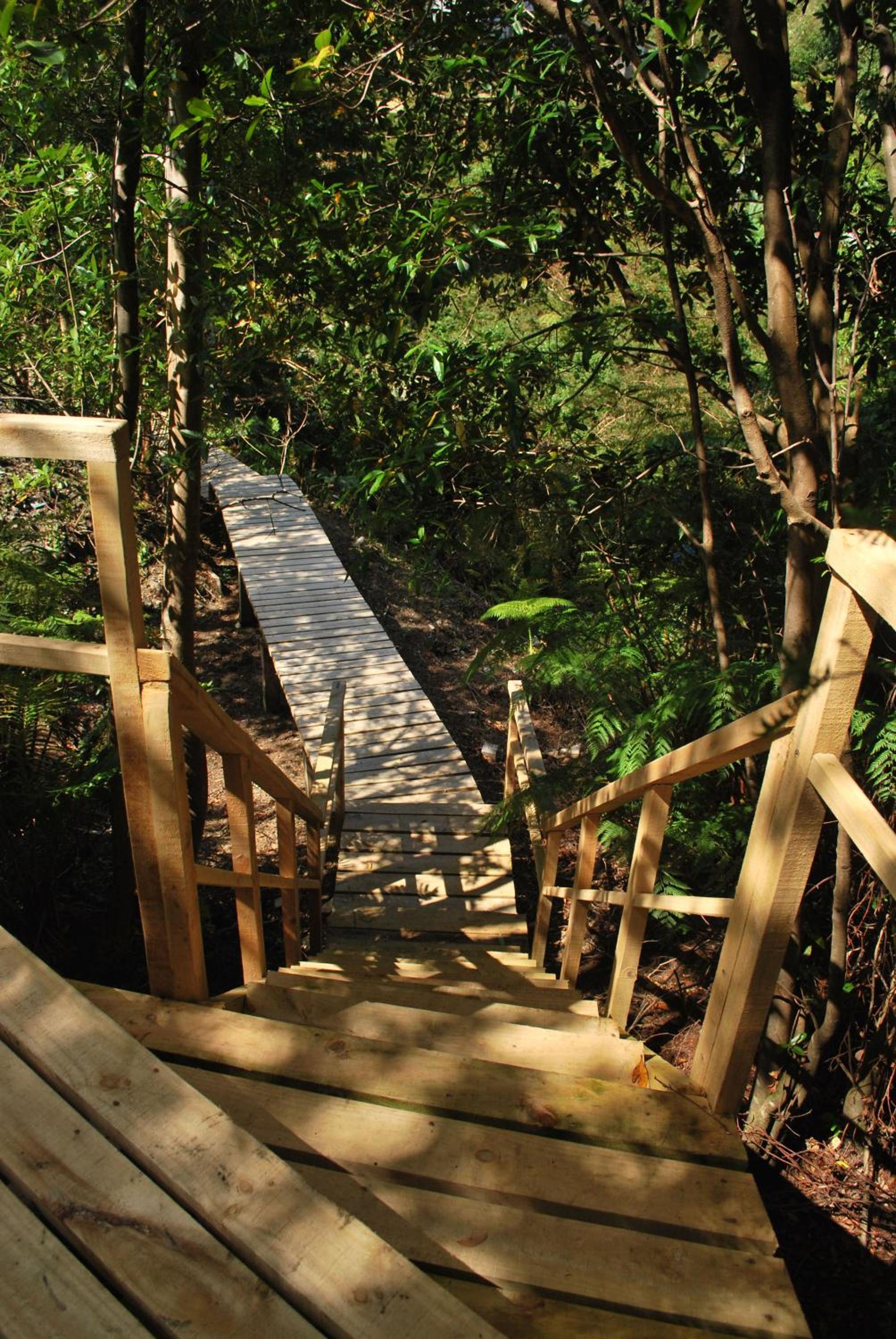 Chucao Bosque y Cabañas
