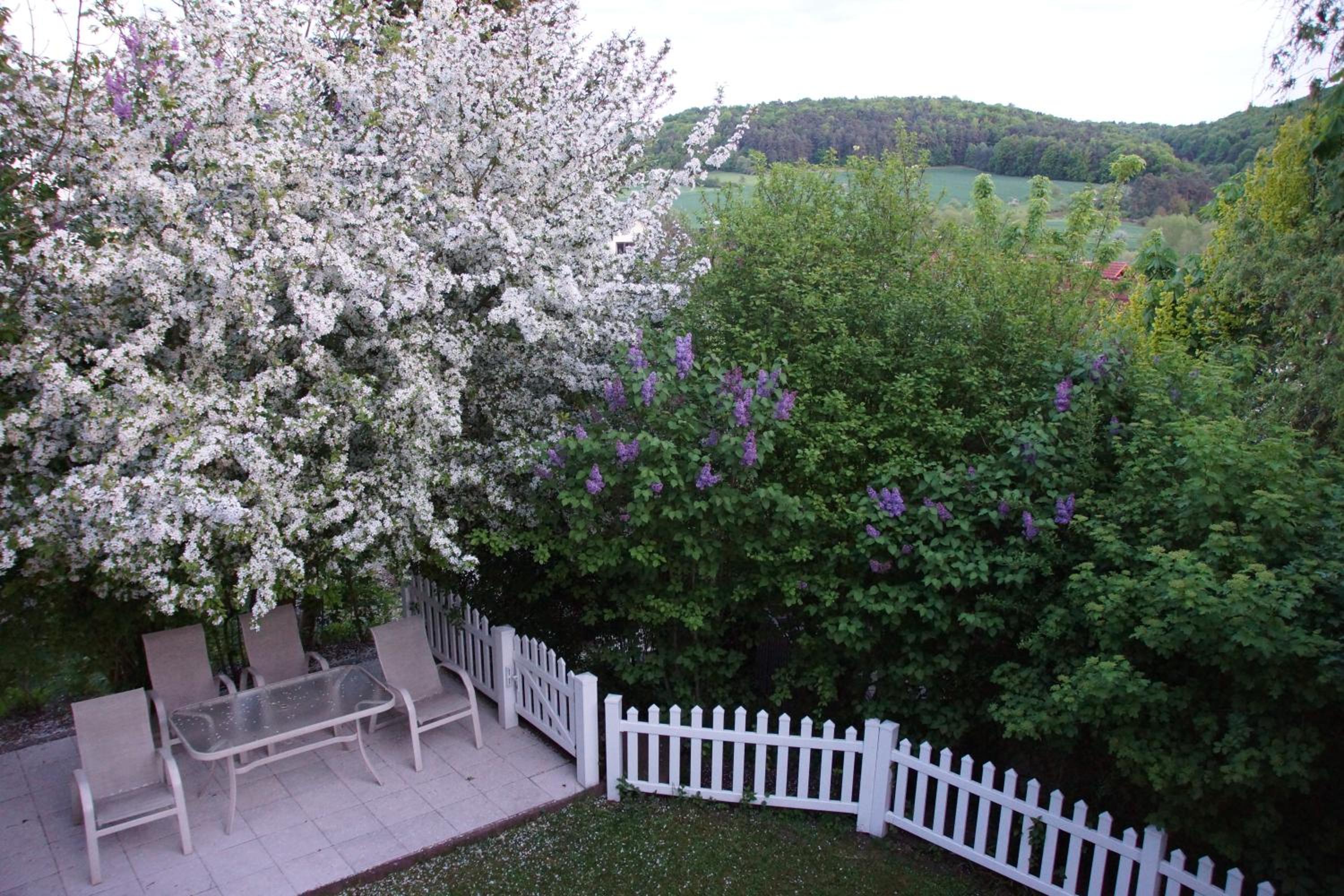 GardenView Apartments Suites bei Bad Kissingen - Property Image 28