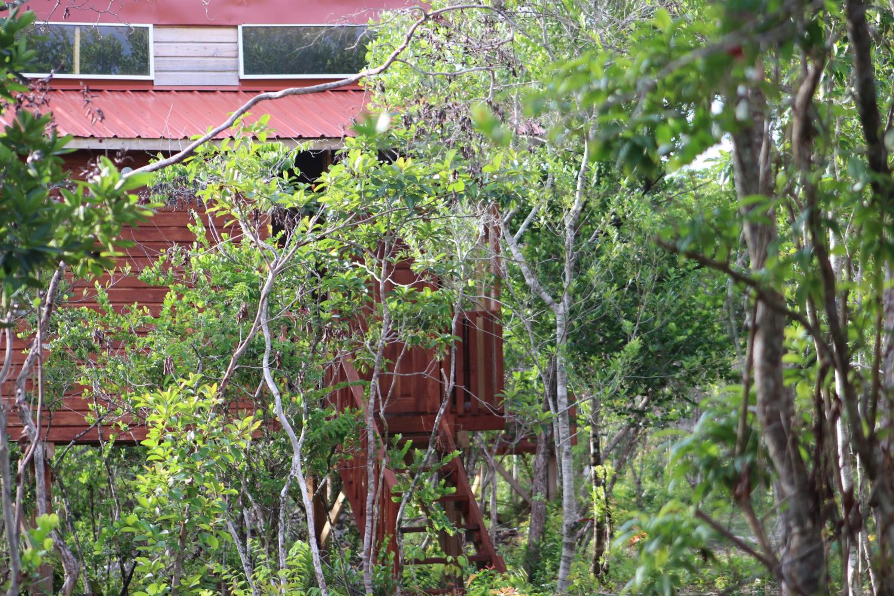 Palmento Grove Garifuna Eco-Cultural & Healing Institute