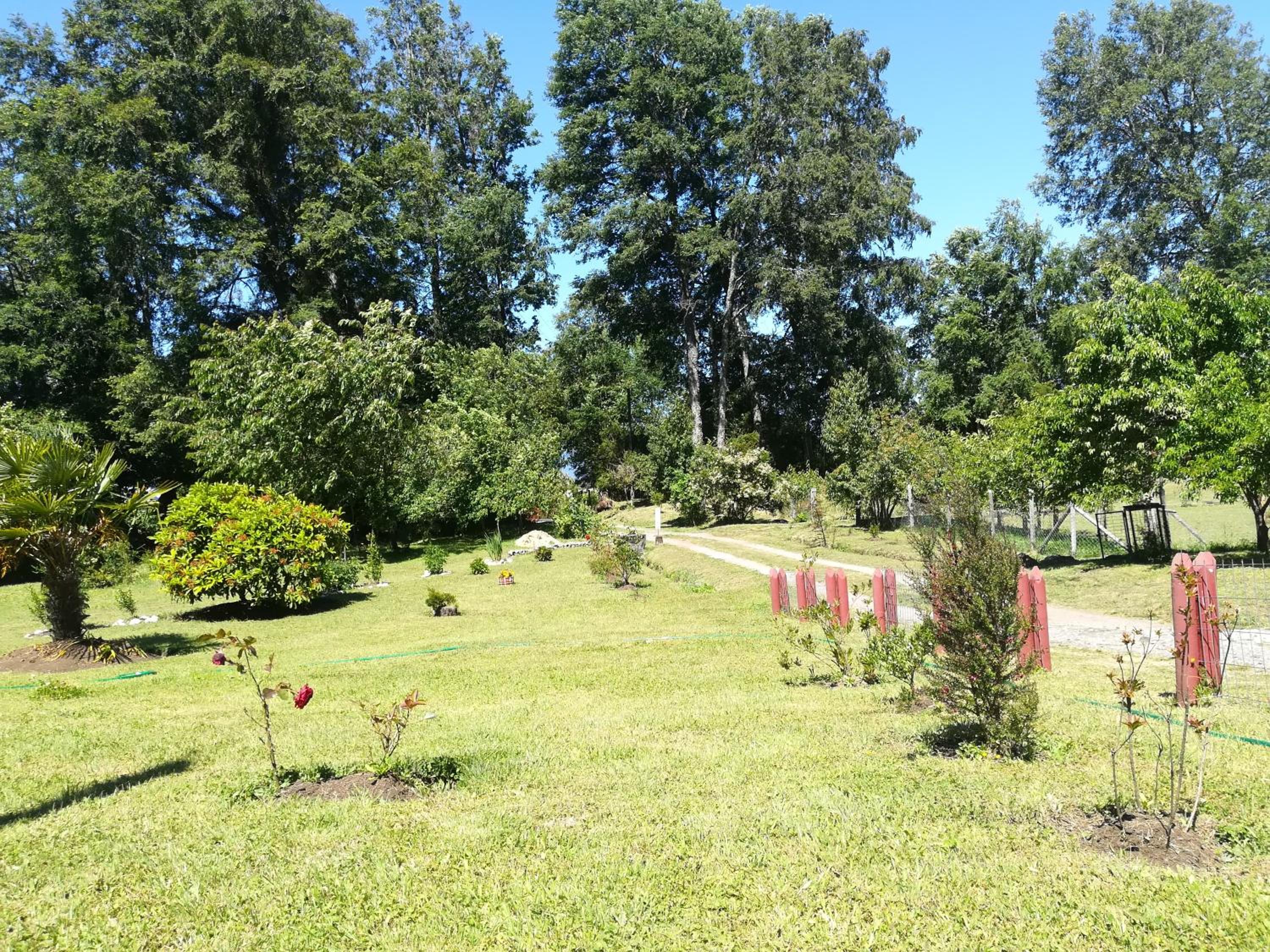 Cabañas Aliwen Panguipulli
