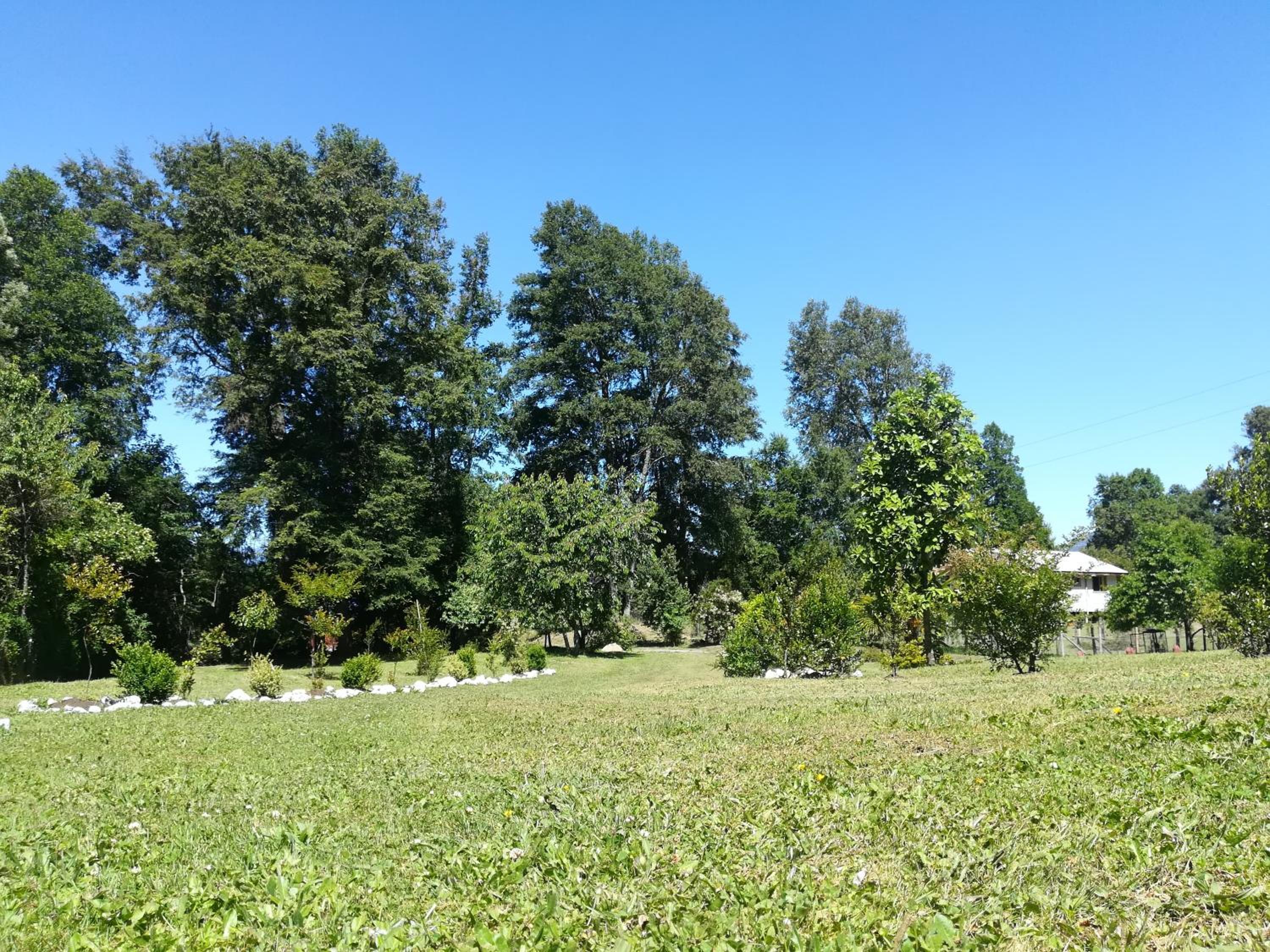 Cabañas Aliwen Panguipulli