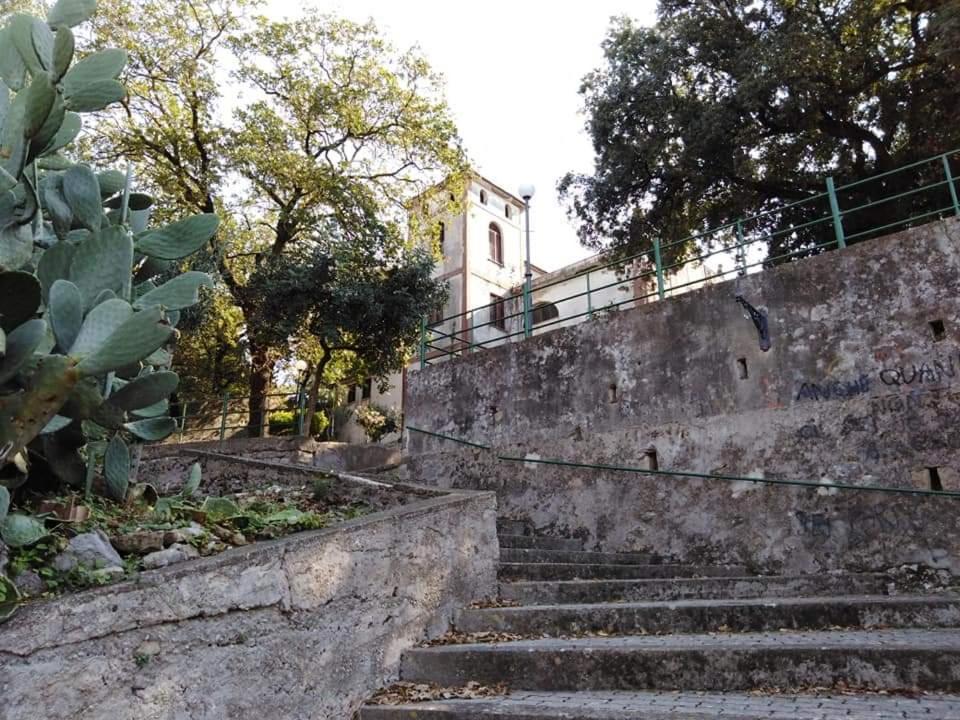 Photo 44