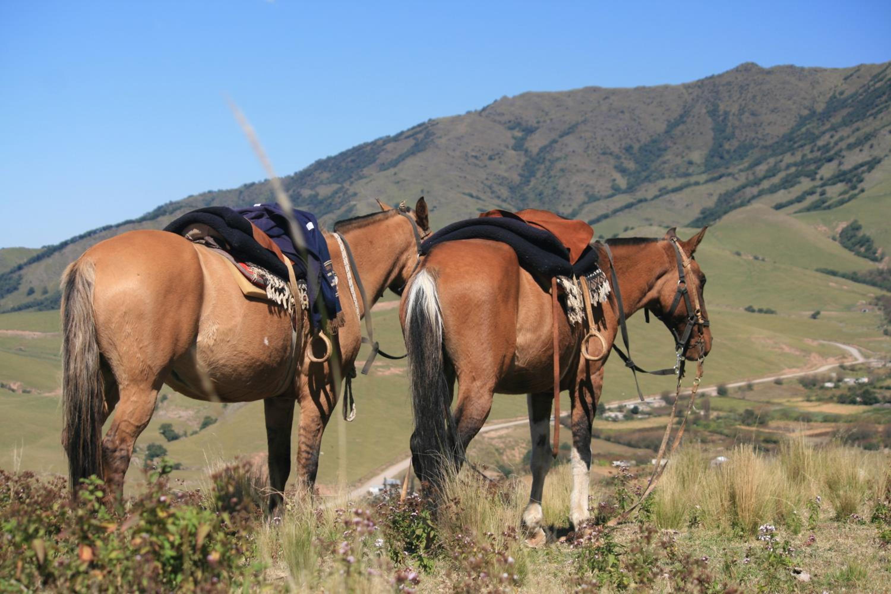 Estancia Las Carreras