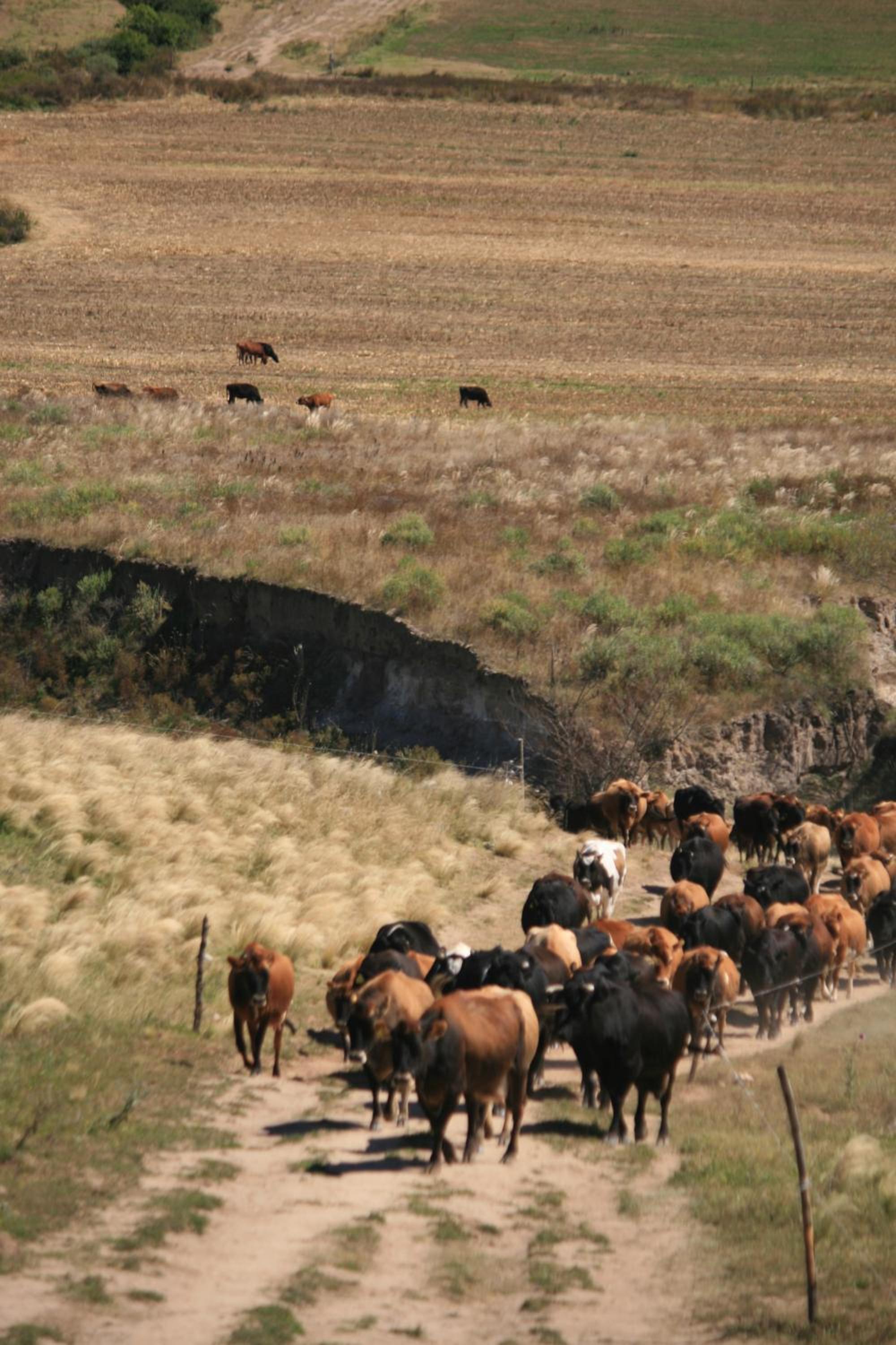 Estancia Las Carreras