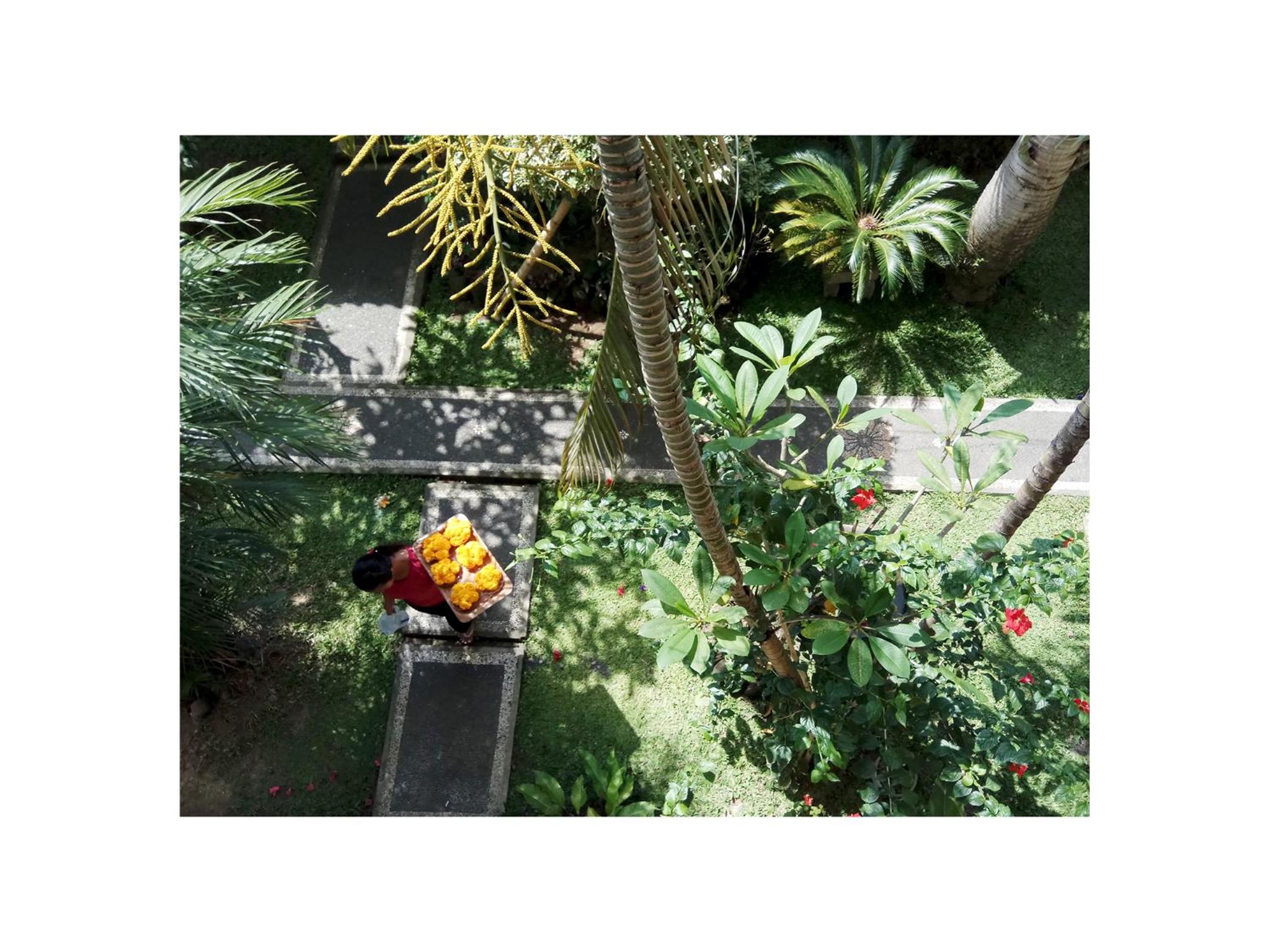 In Da Garden photo 5