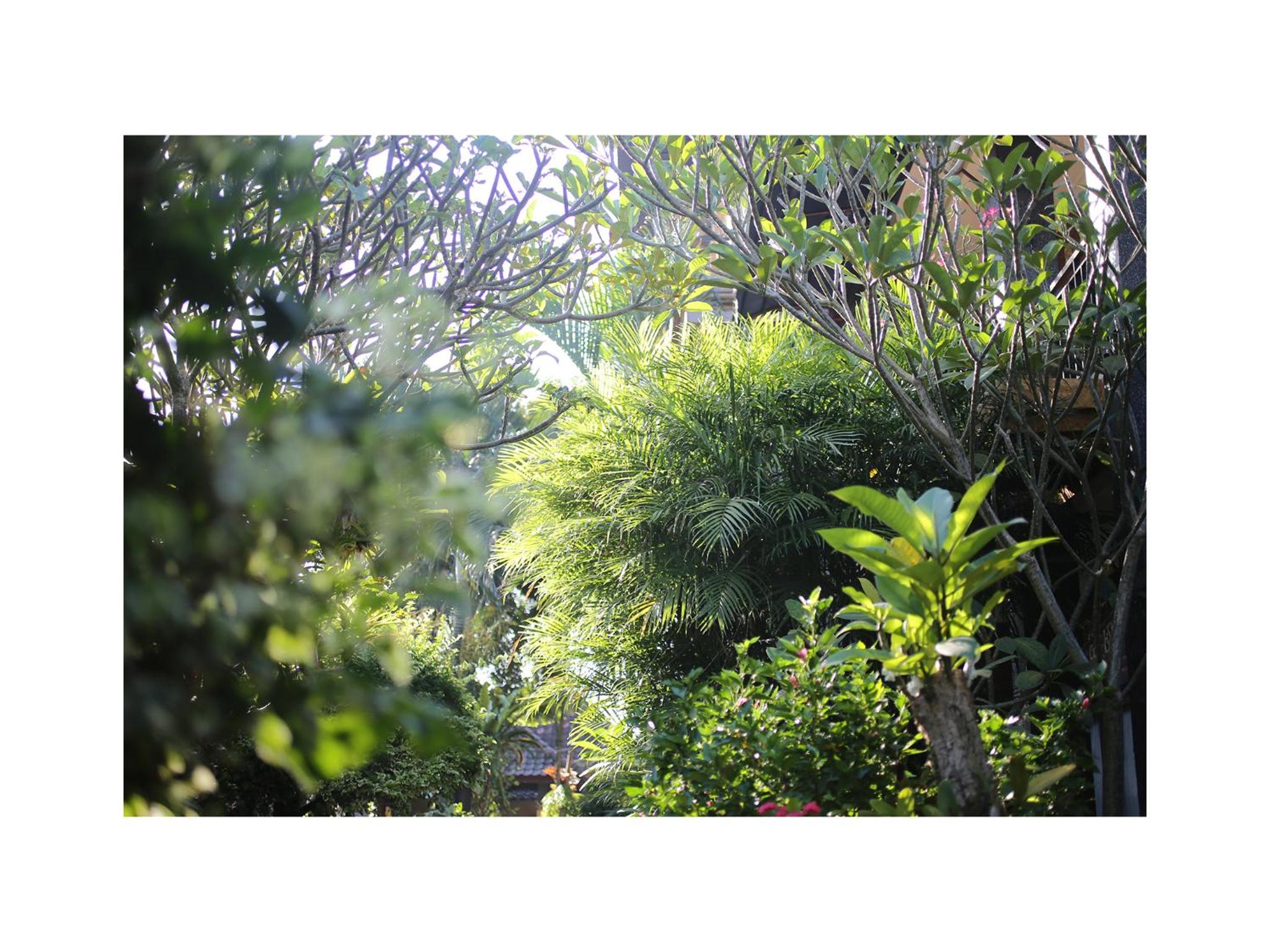 In Da Garden 21