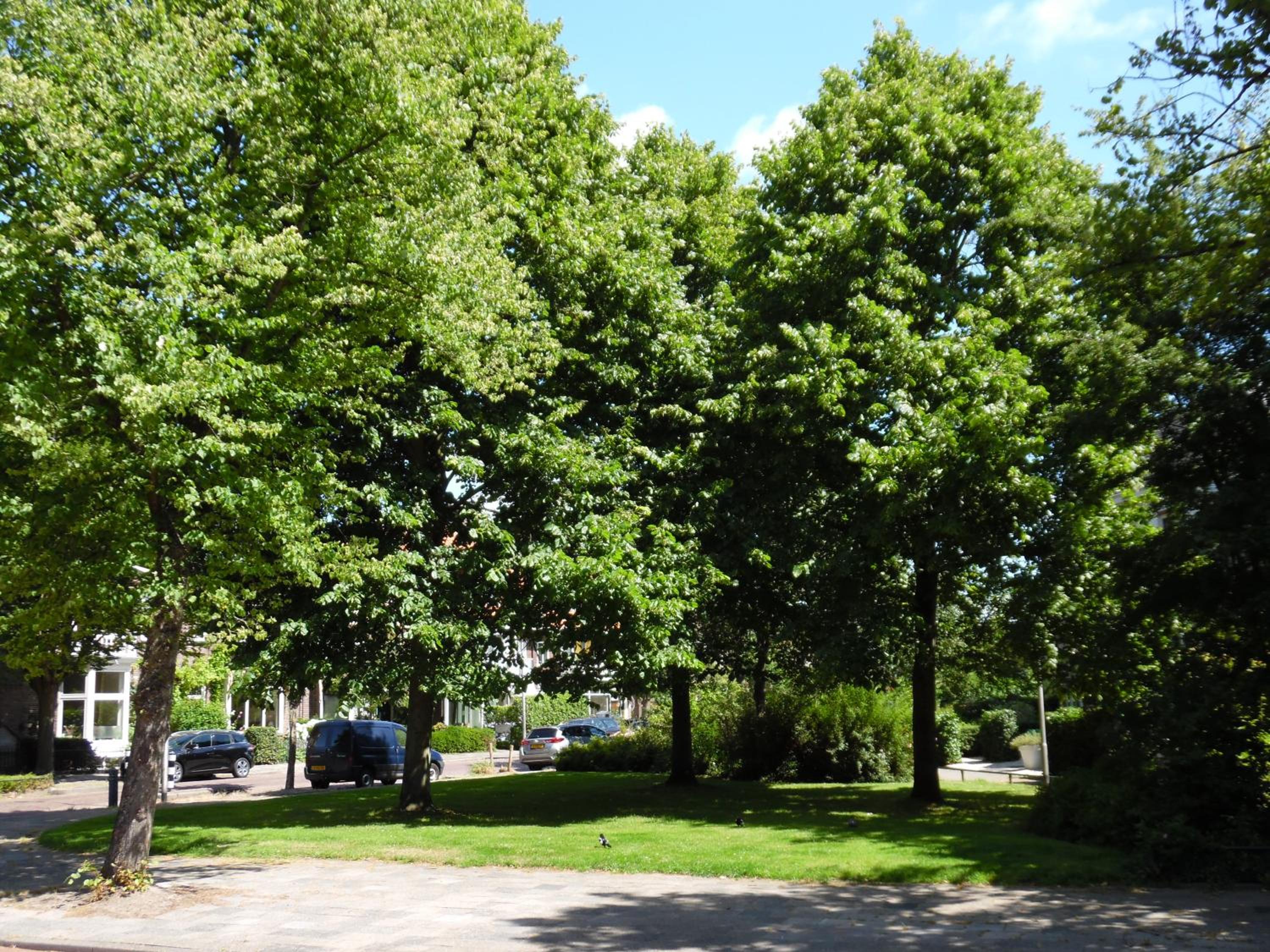 Photo 31