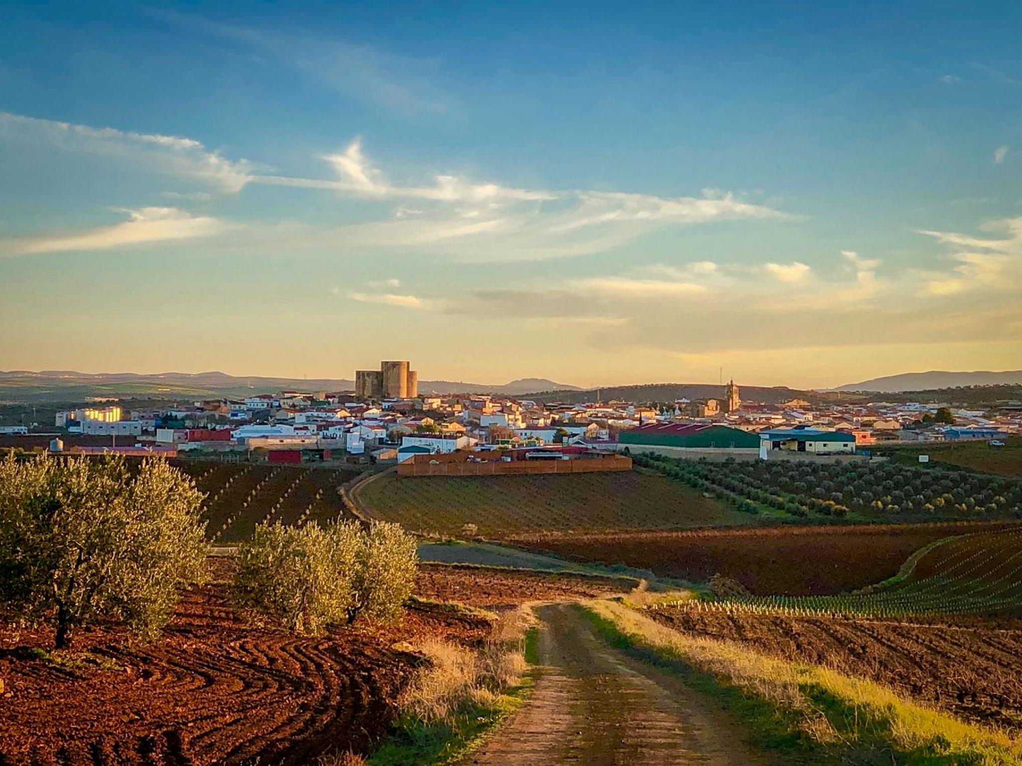 Photo 31