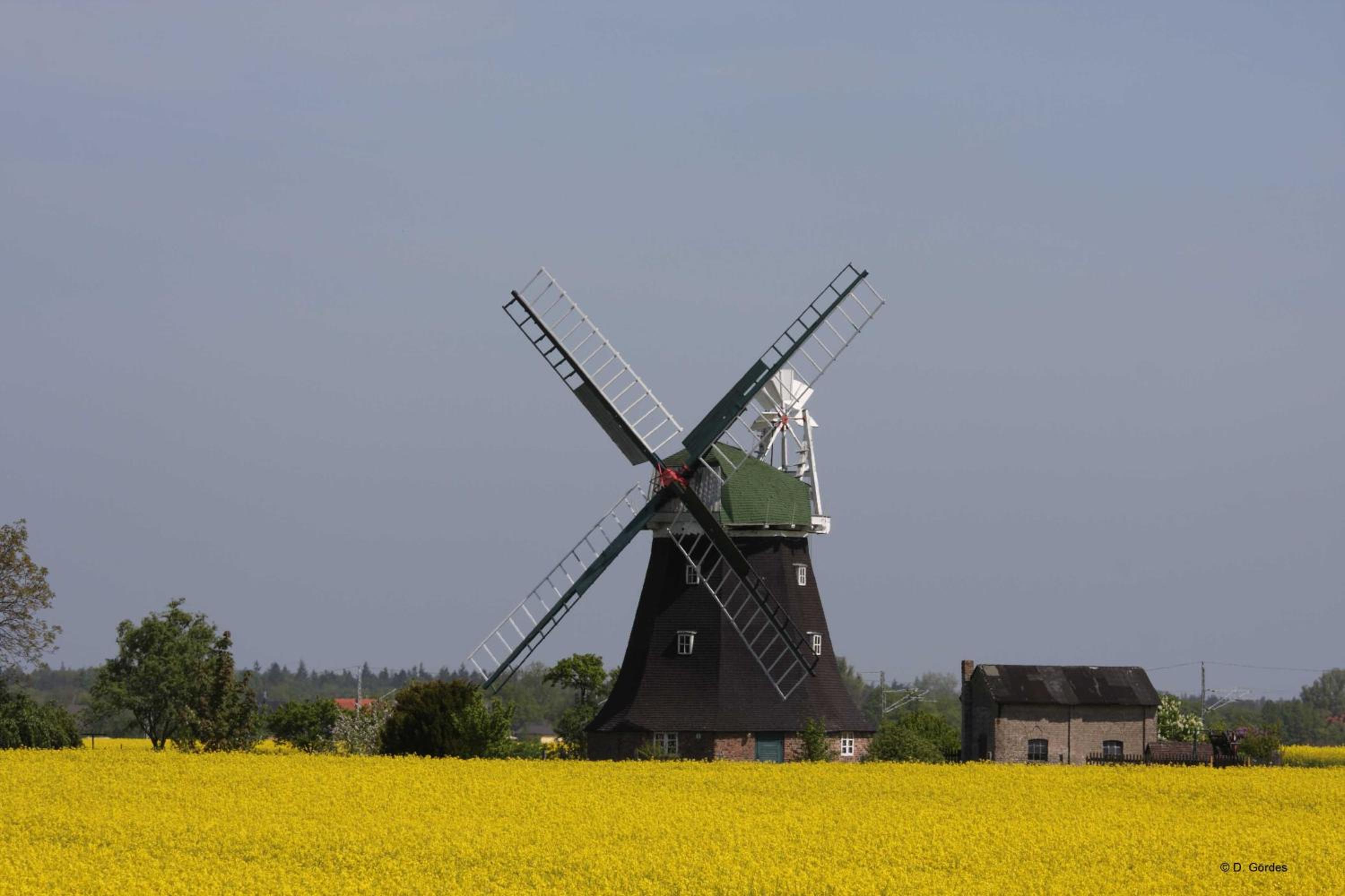 Photo 29