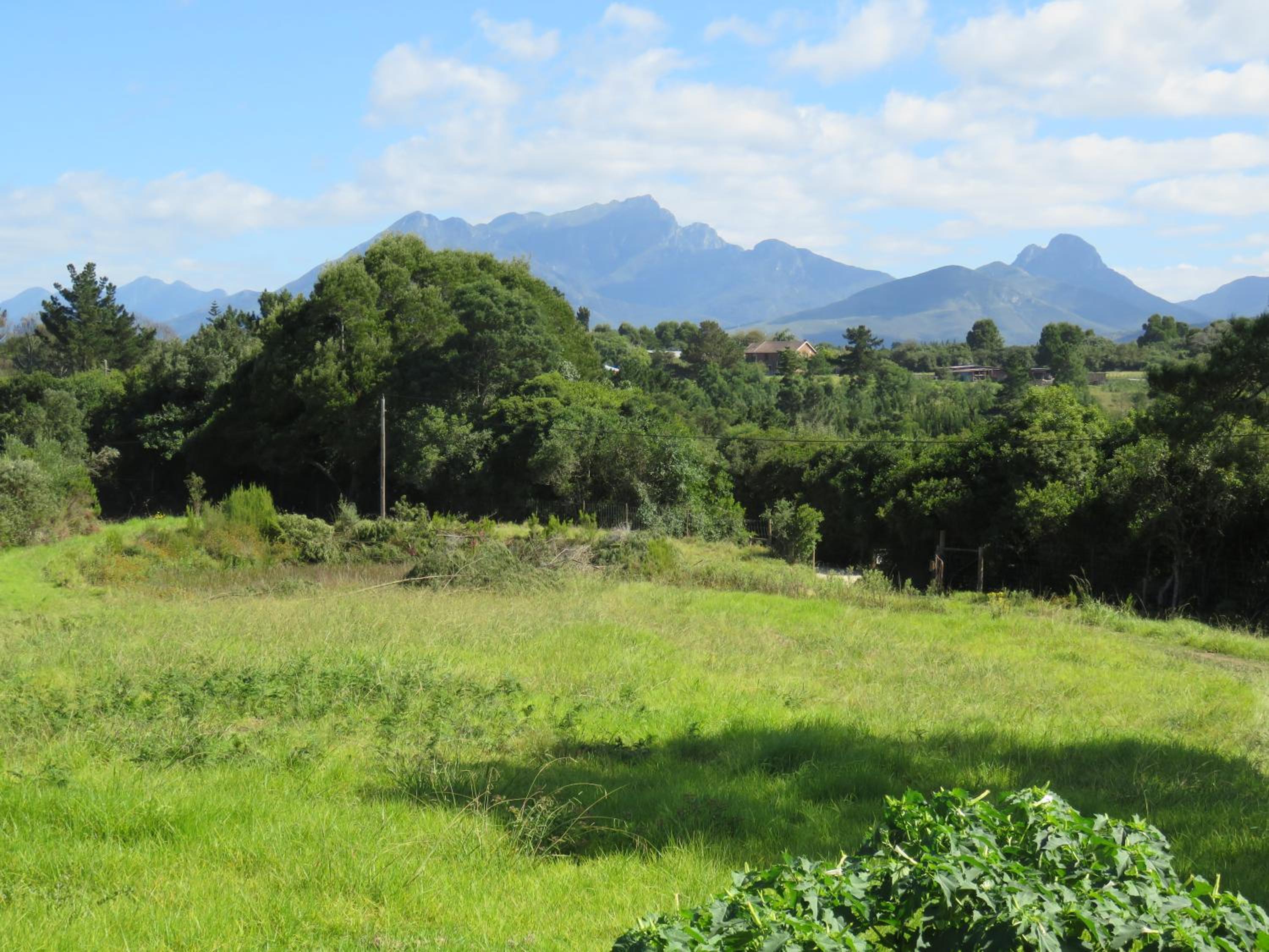 Hakuna Matata view 4