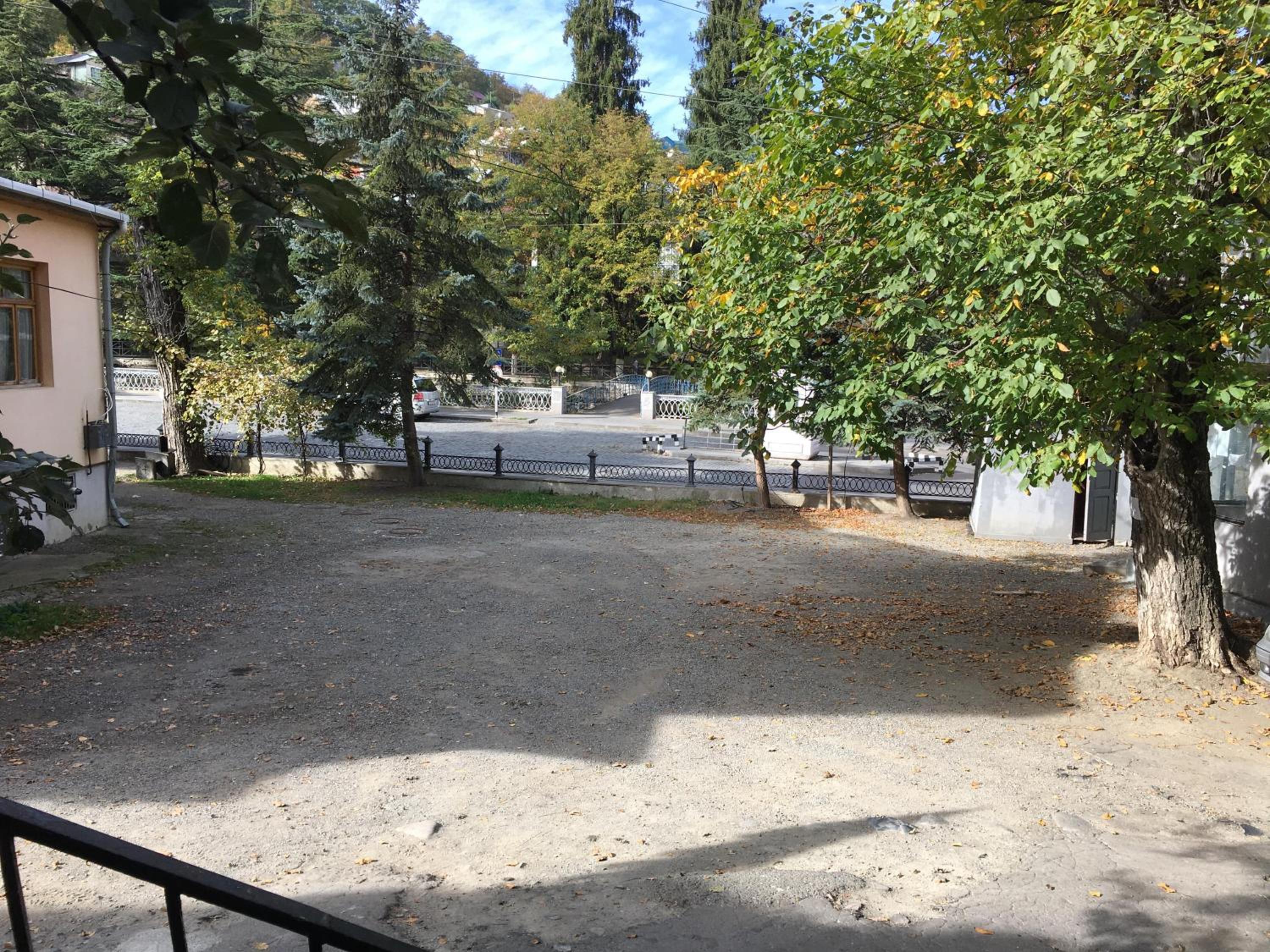Photo 7