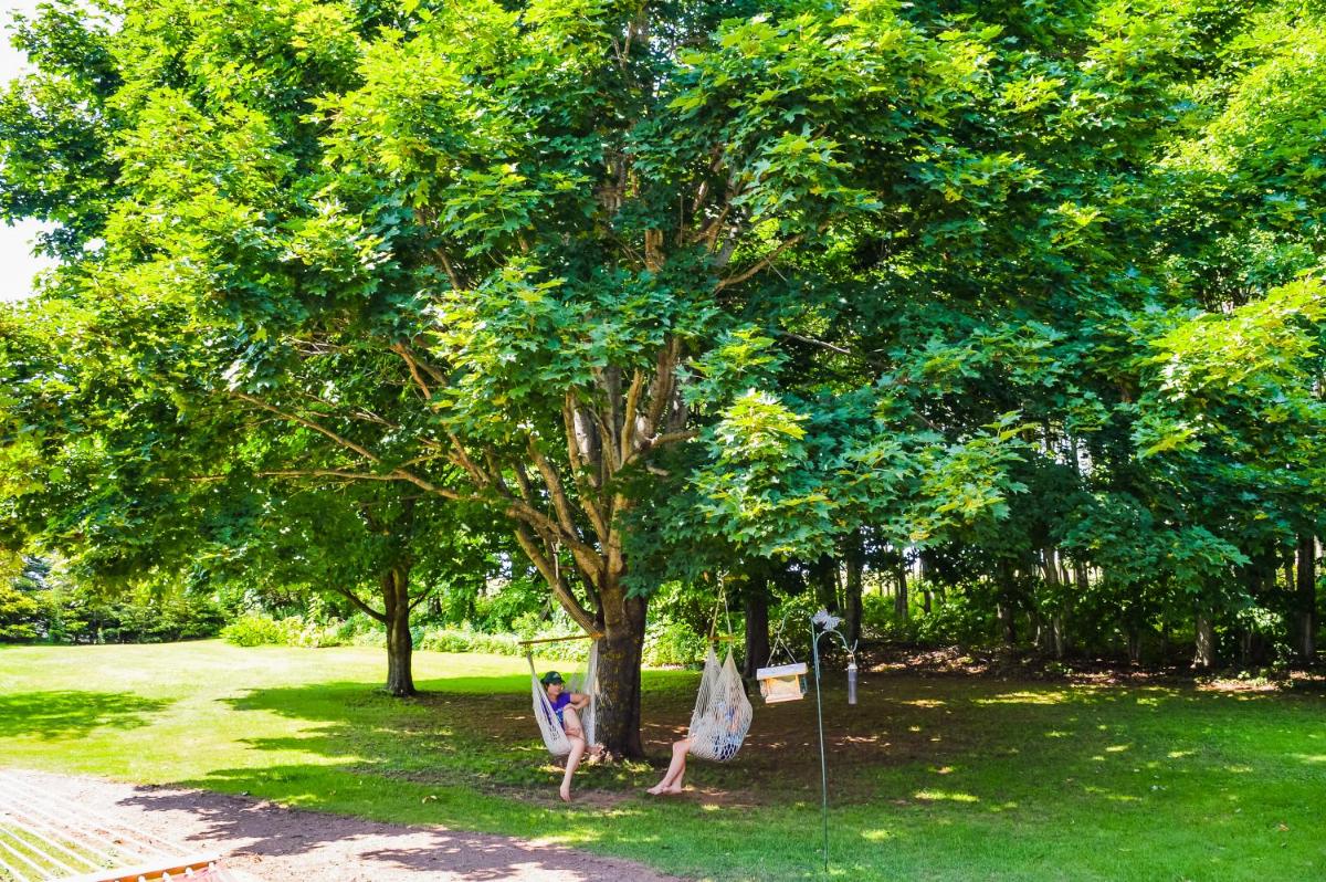 Summerside Vacations - Bugaboo Cottages - Property Image 21