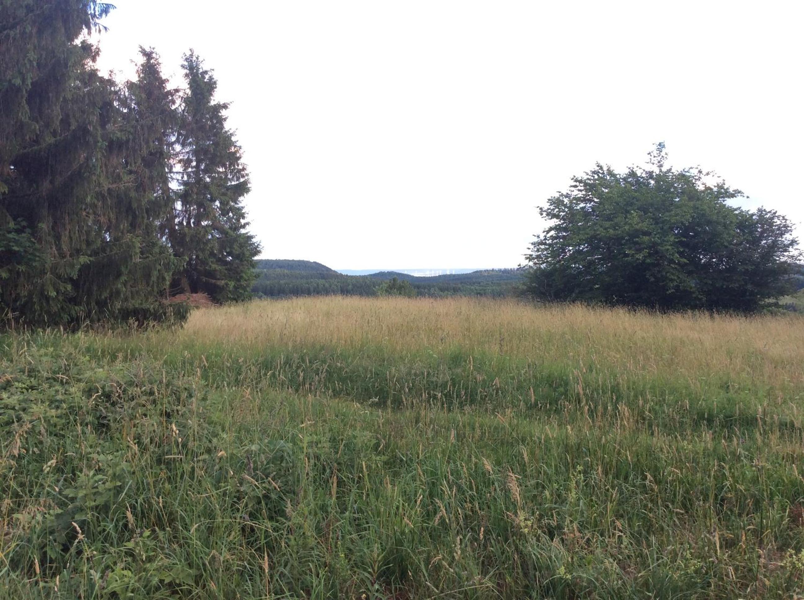 Ferienwohnung Harzblick 2