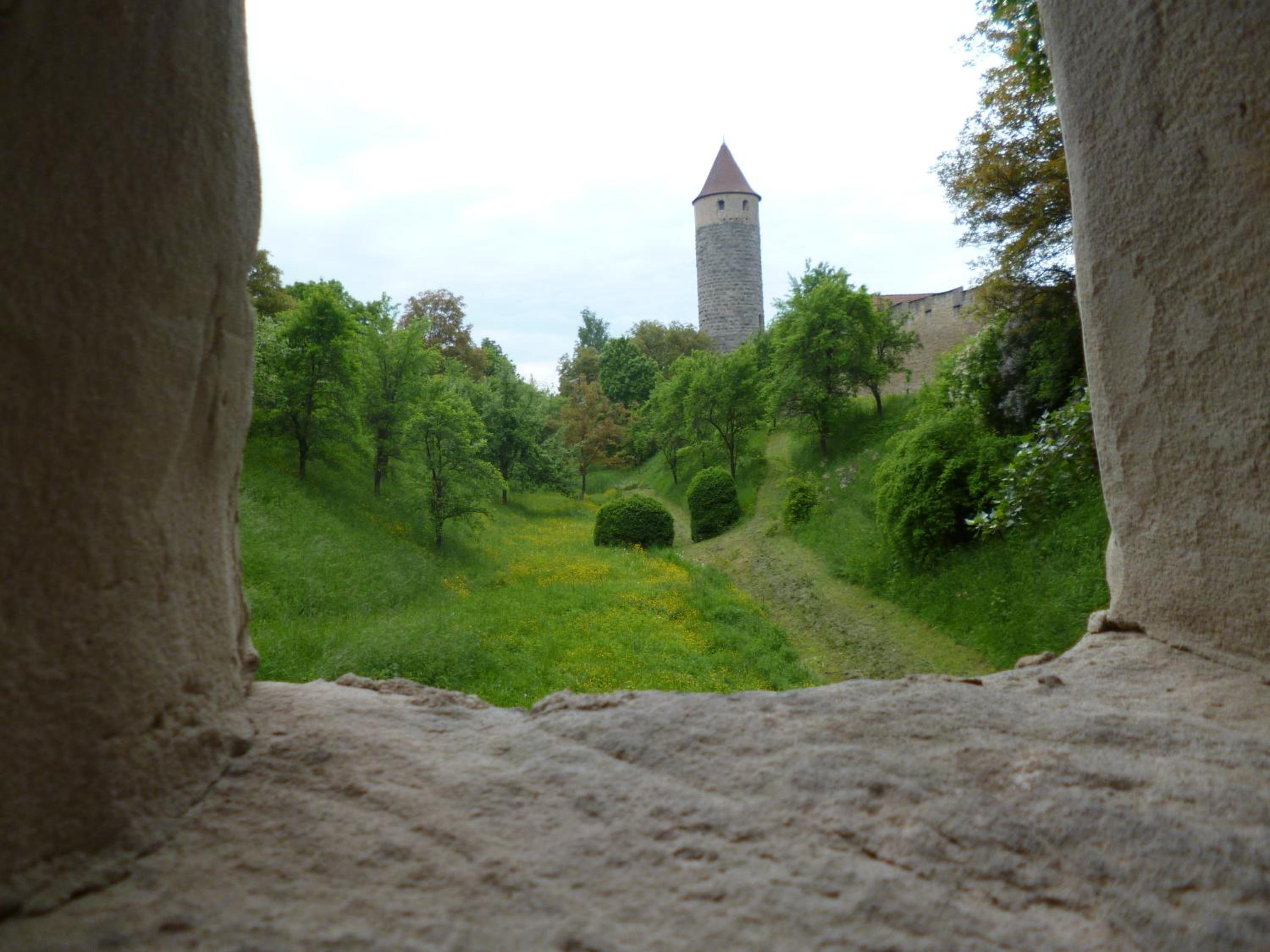 Photo 13