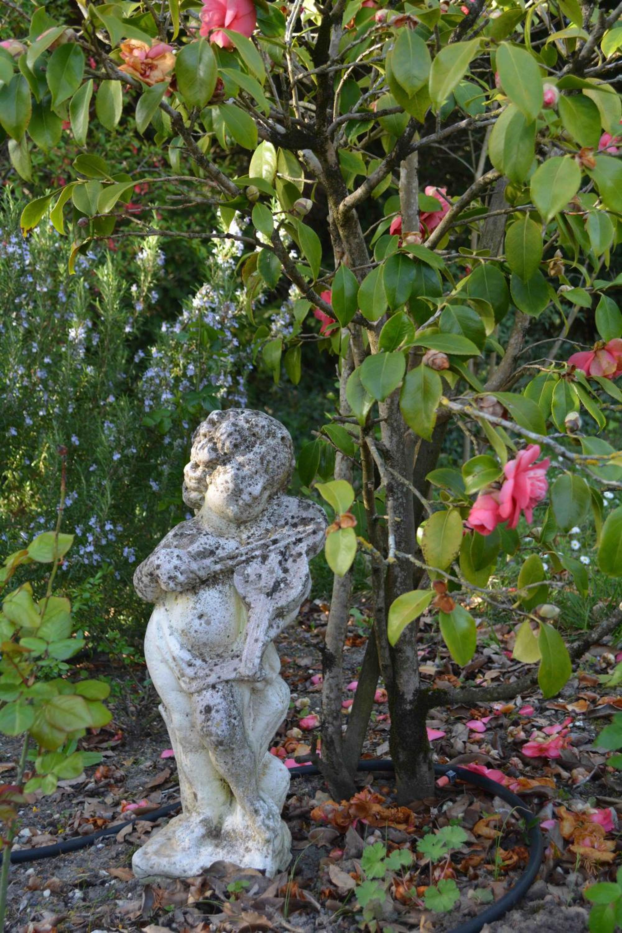 la cabanne, photo 18
