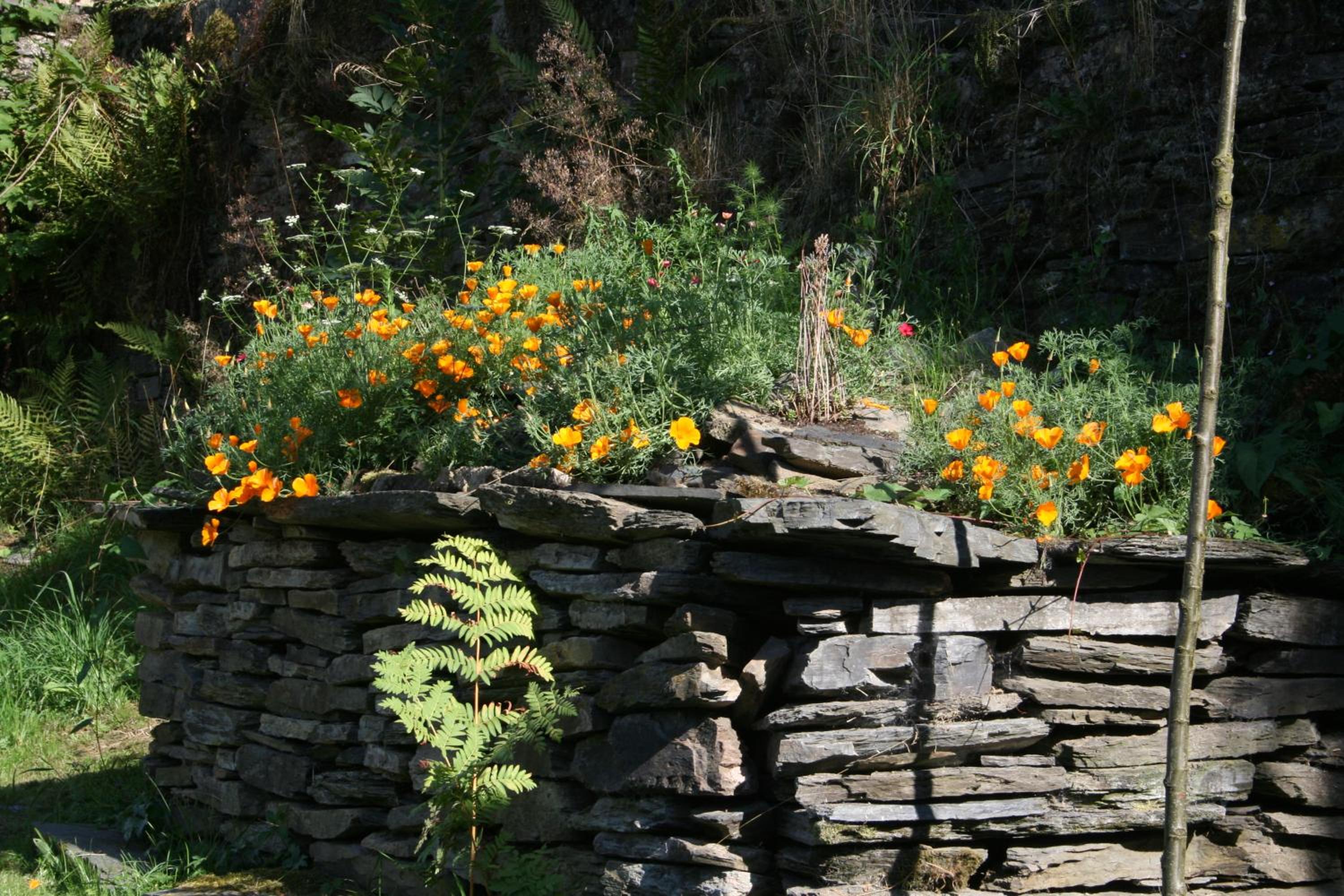 L'Eaubergerine