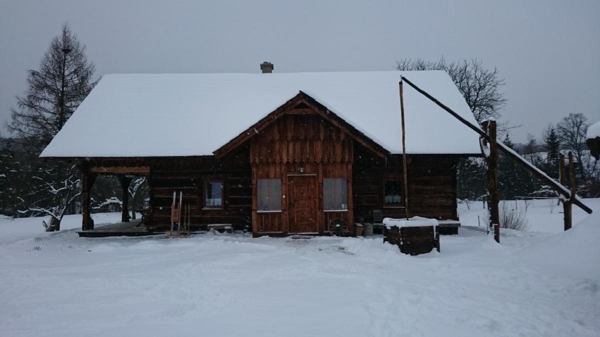 Photo 51