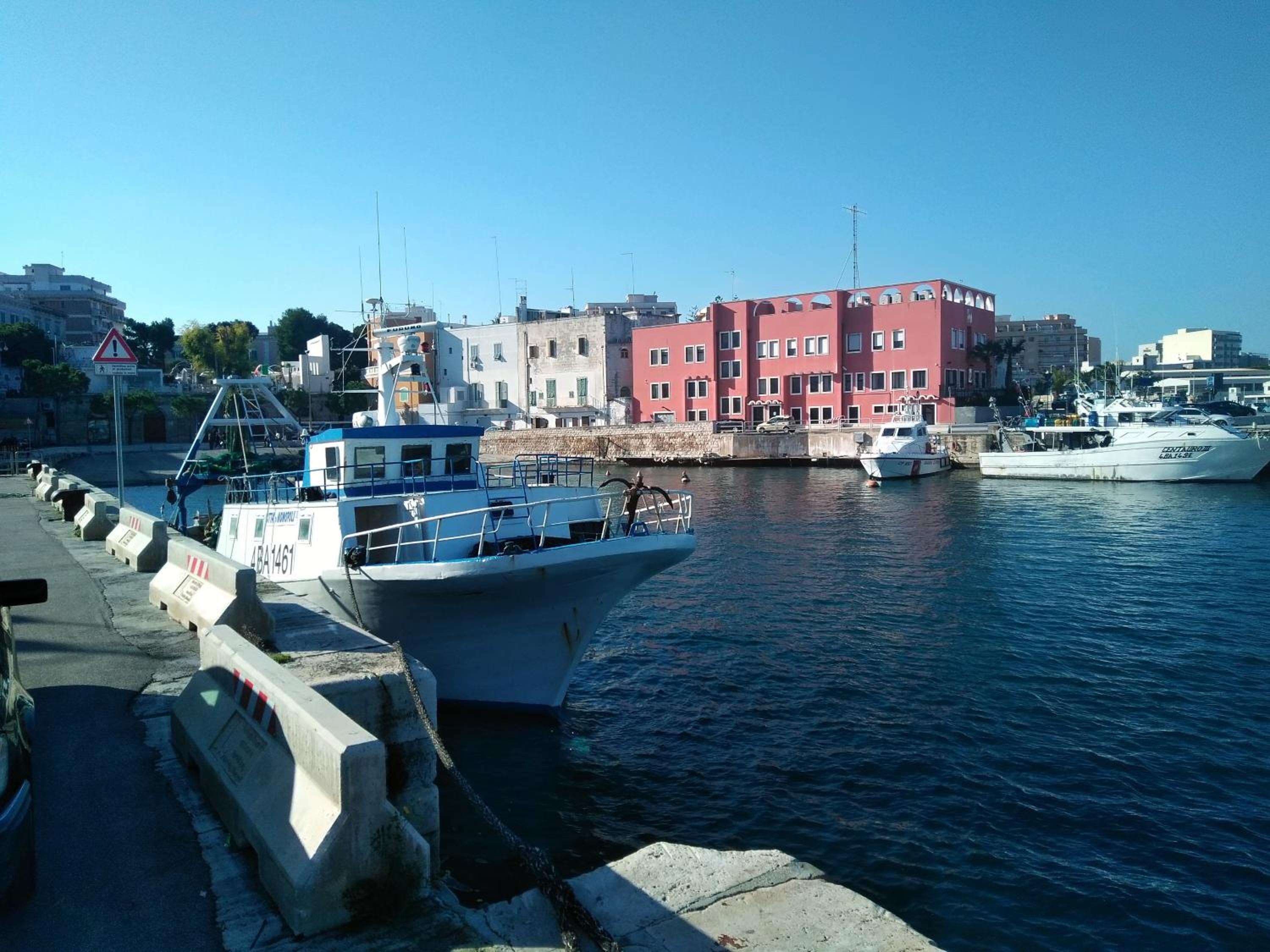 Photo 41