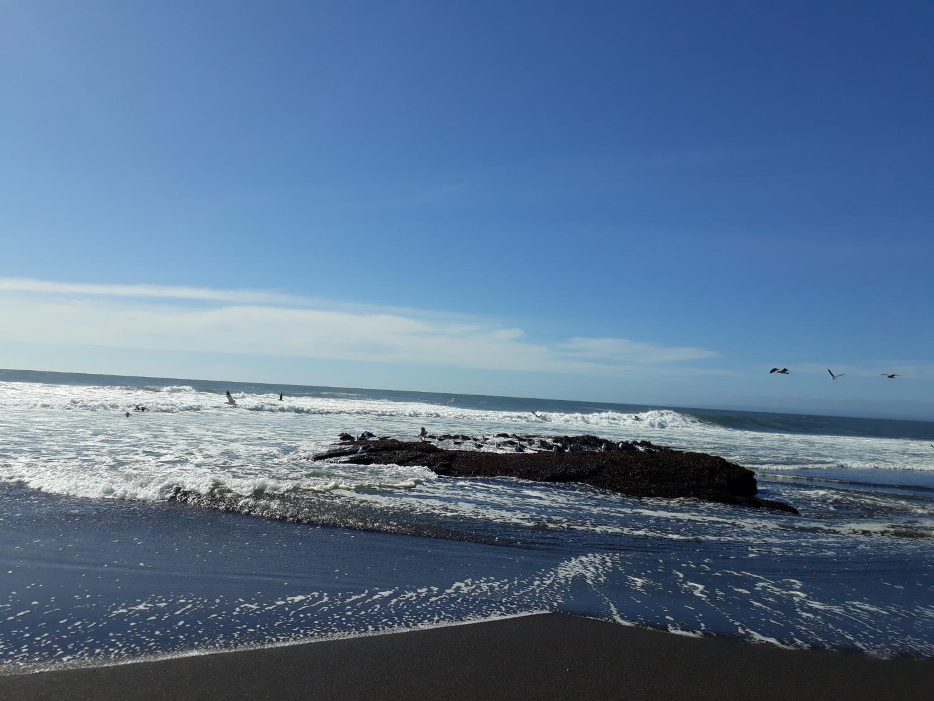 Photo 46