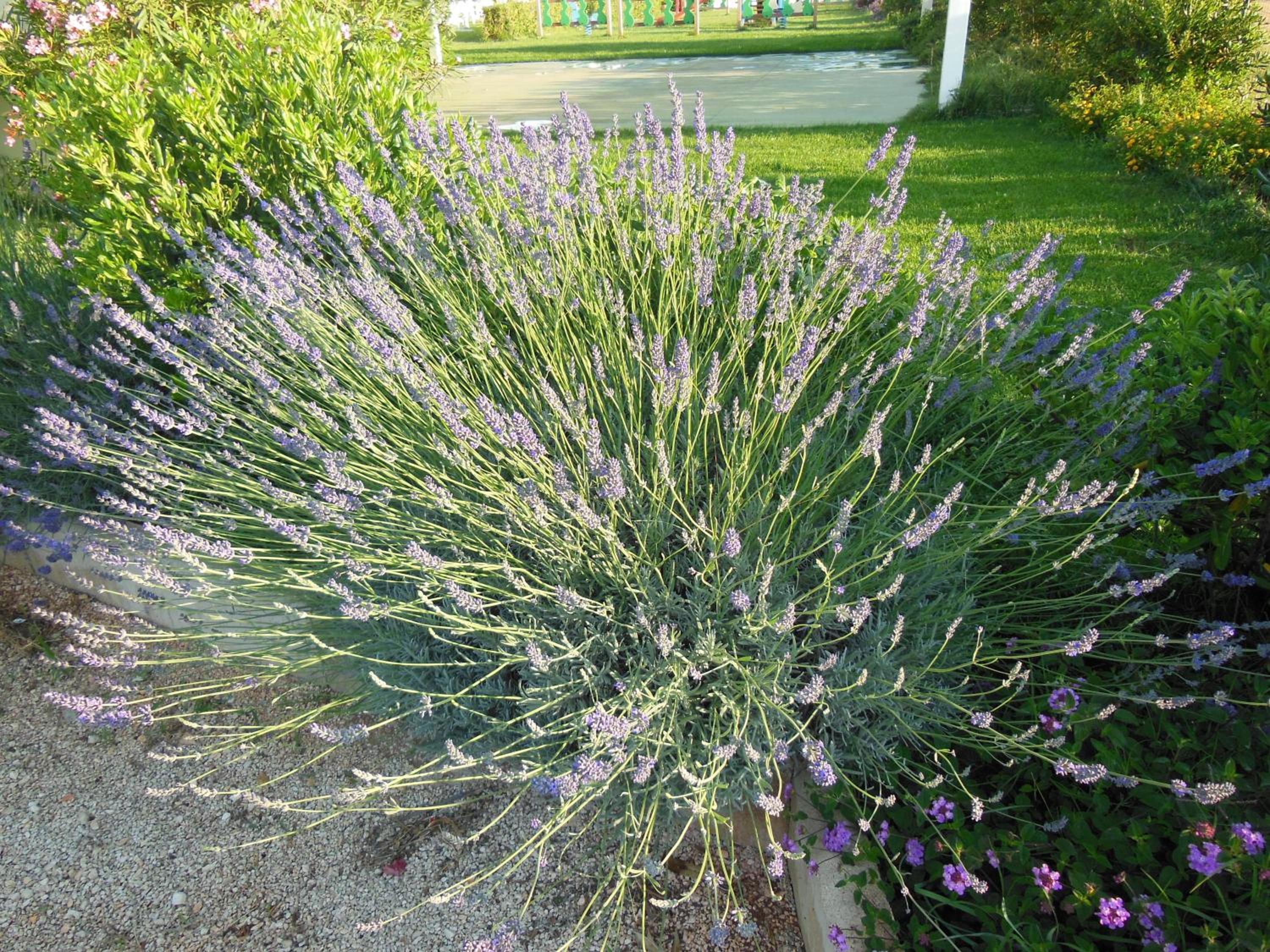 Photo 28