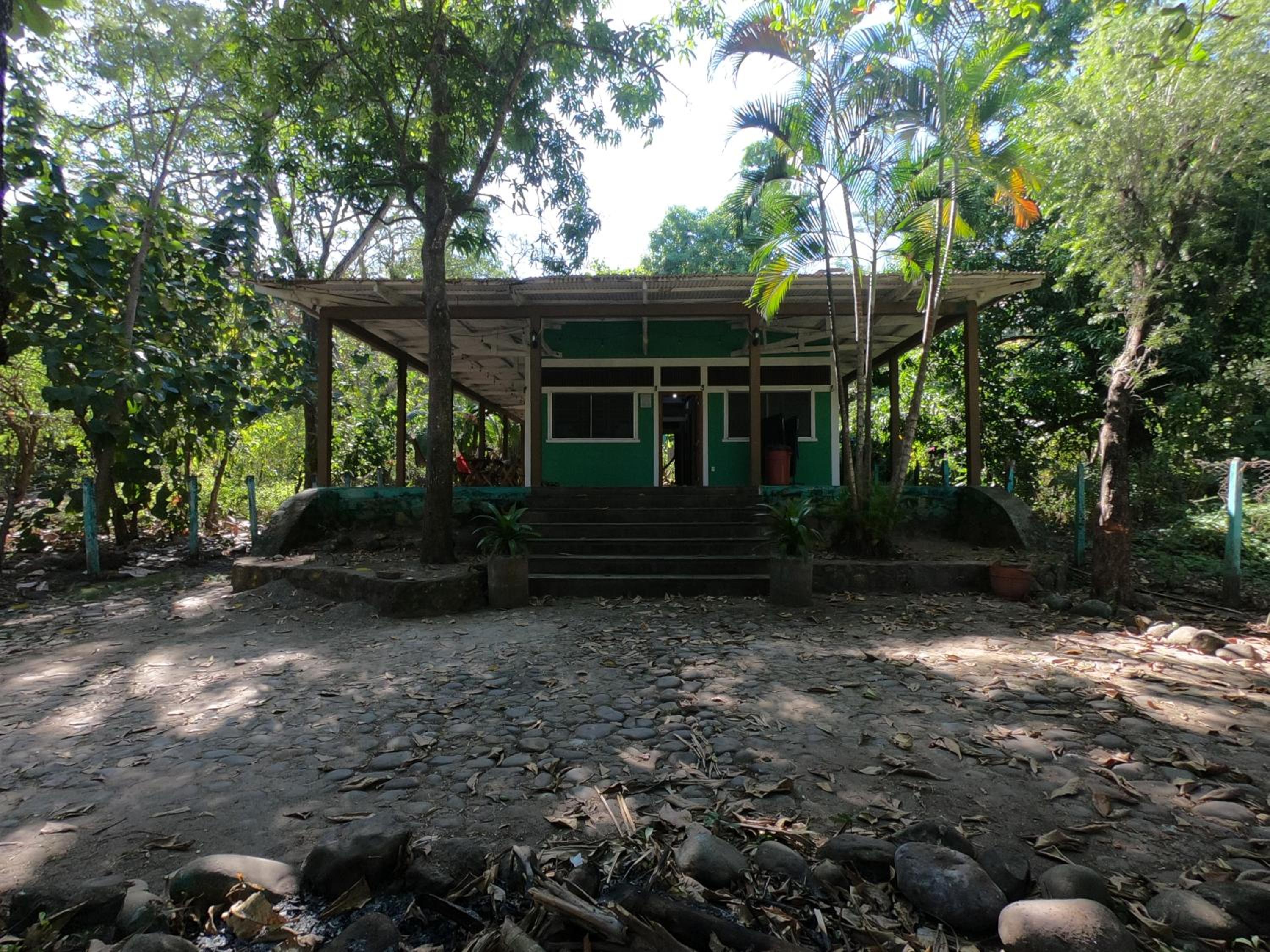 Hammock plantation