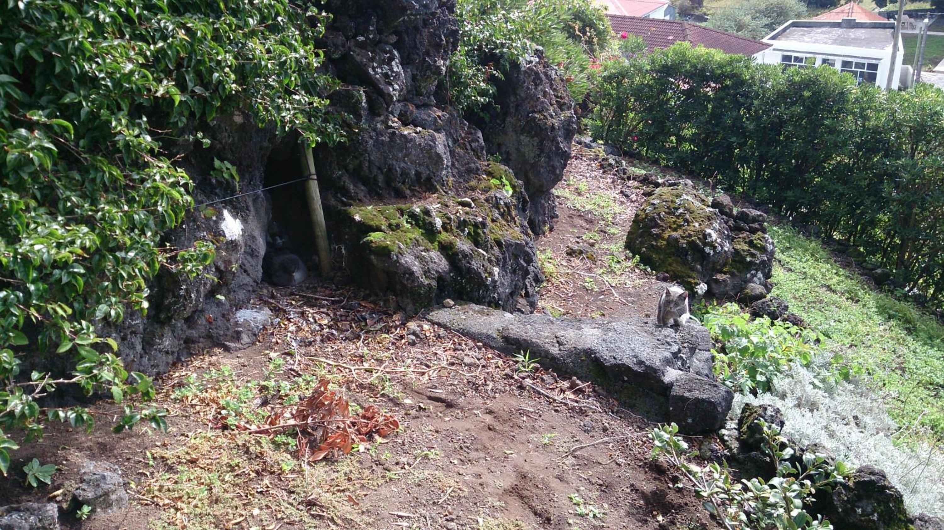 Photo 26