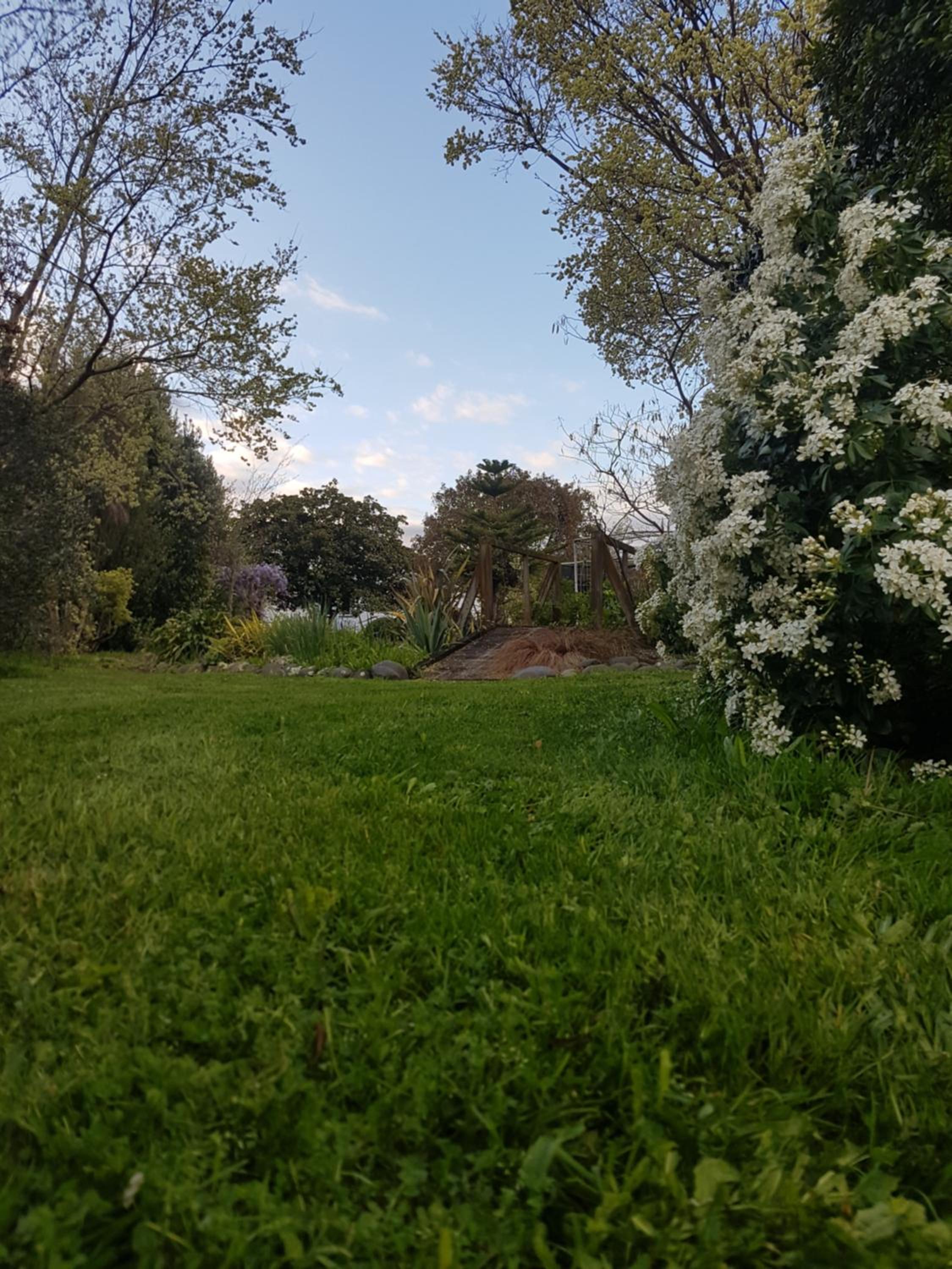 Photo 29