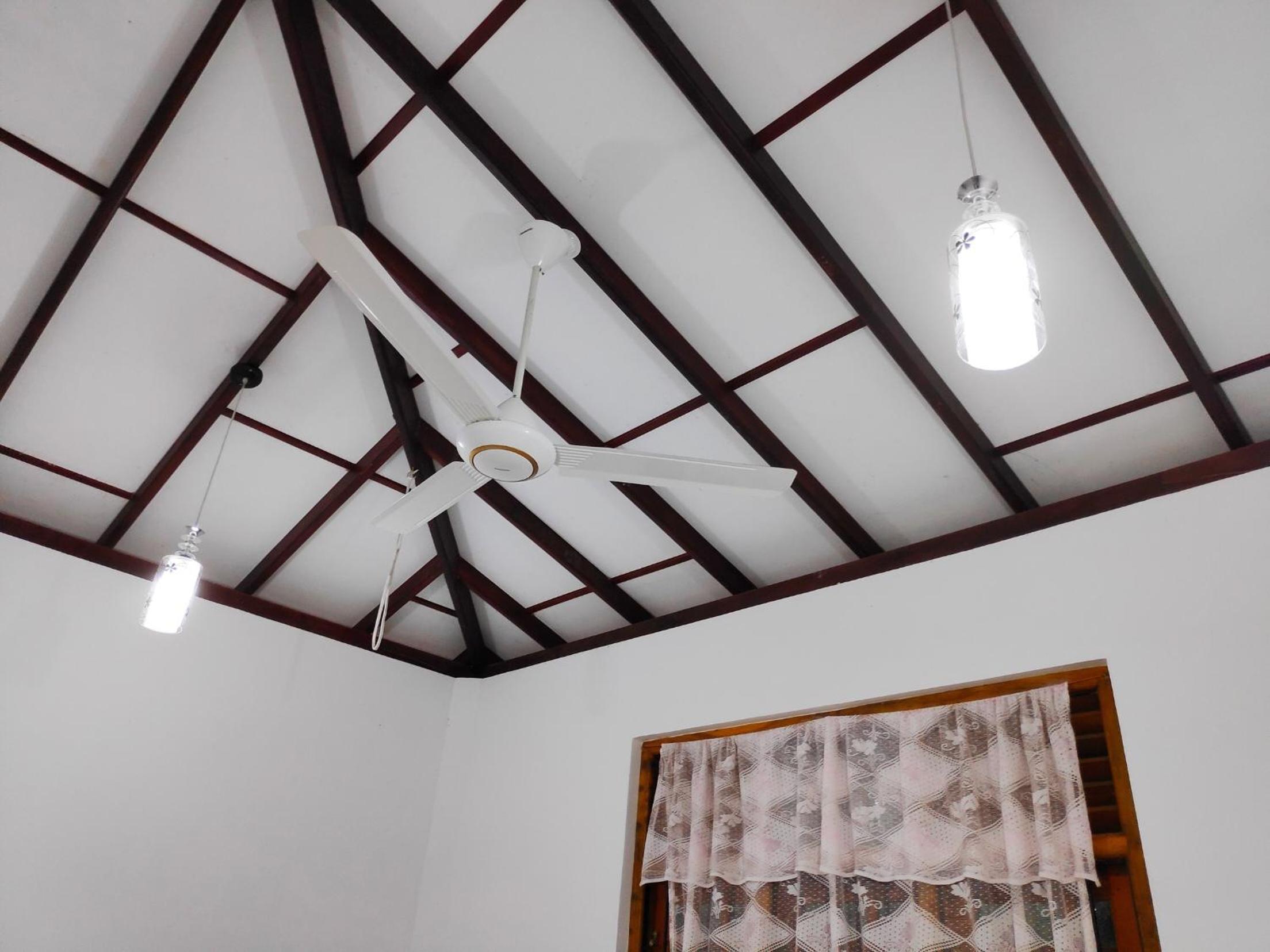 Photo 70