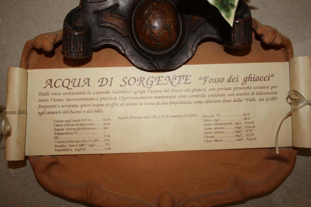 Photo 51