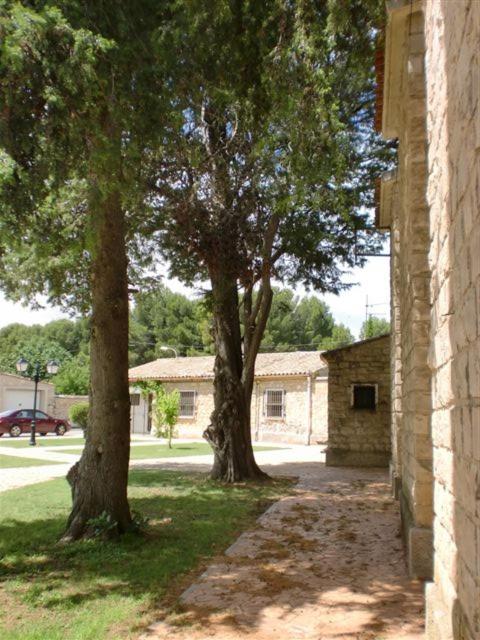 Photo 29